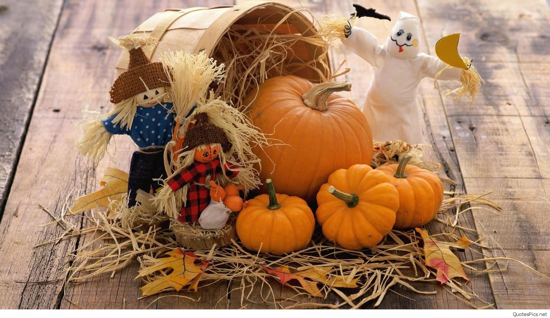 48,025 Fall Scene With Pumpkins Premium High Res Photos