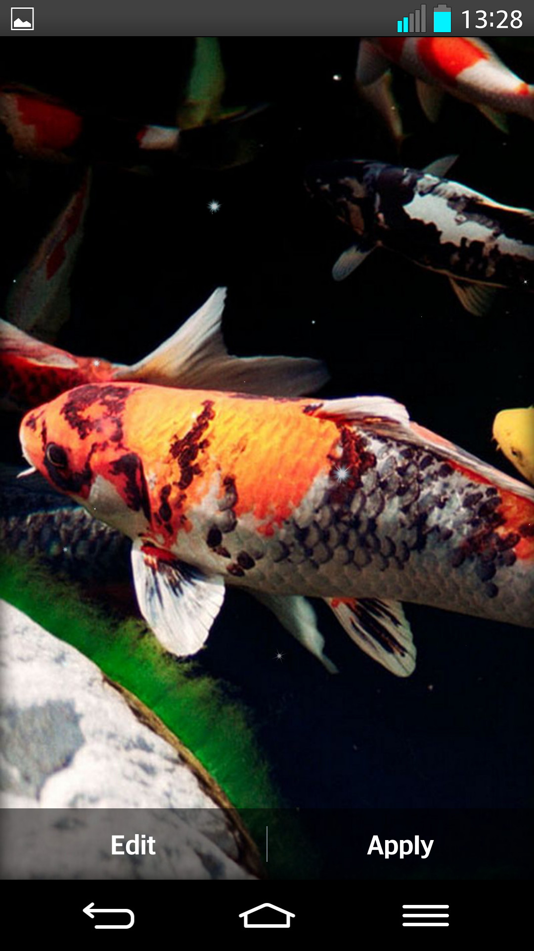 Koi Live Wallpaper (51+ images)