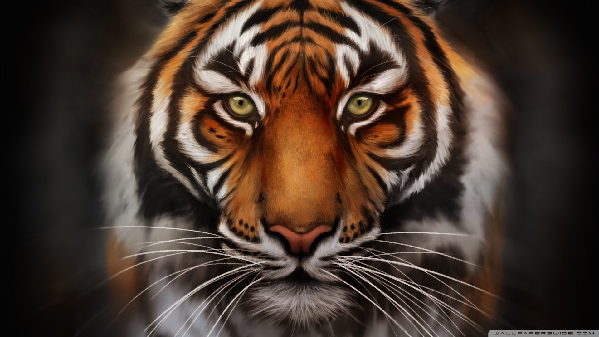 1920x1080 Tiger Wallpaper Full HD (65+ images)