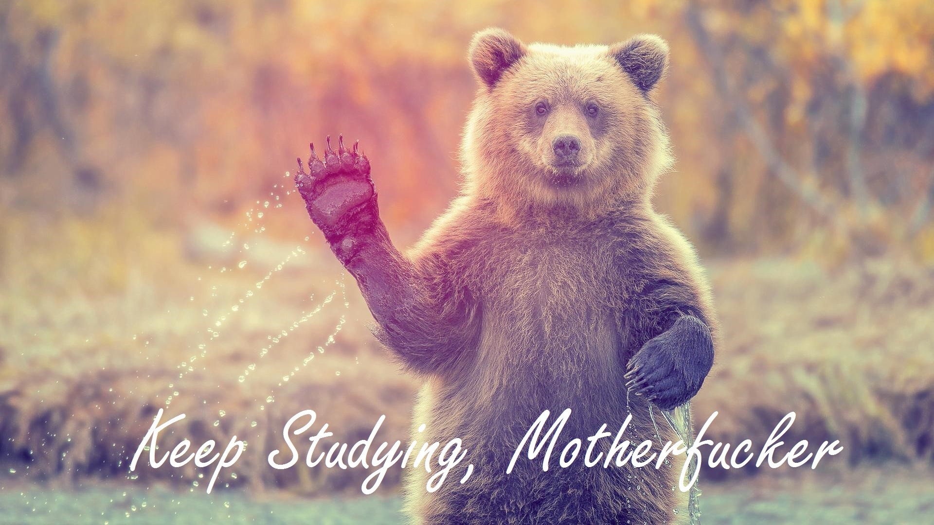 HD Badass Wallpapers (72+ images)