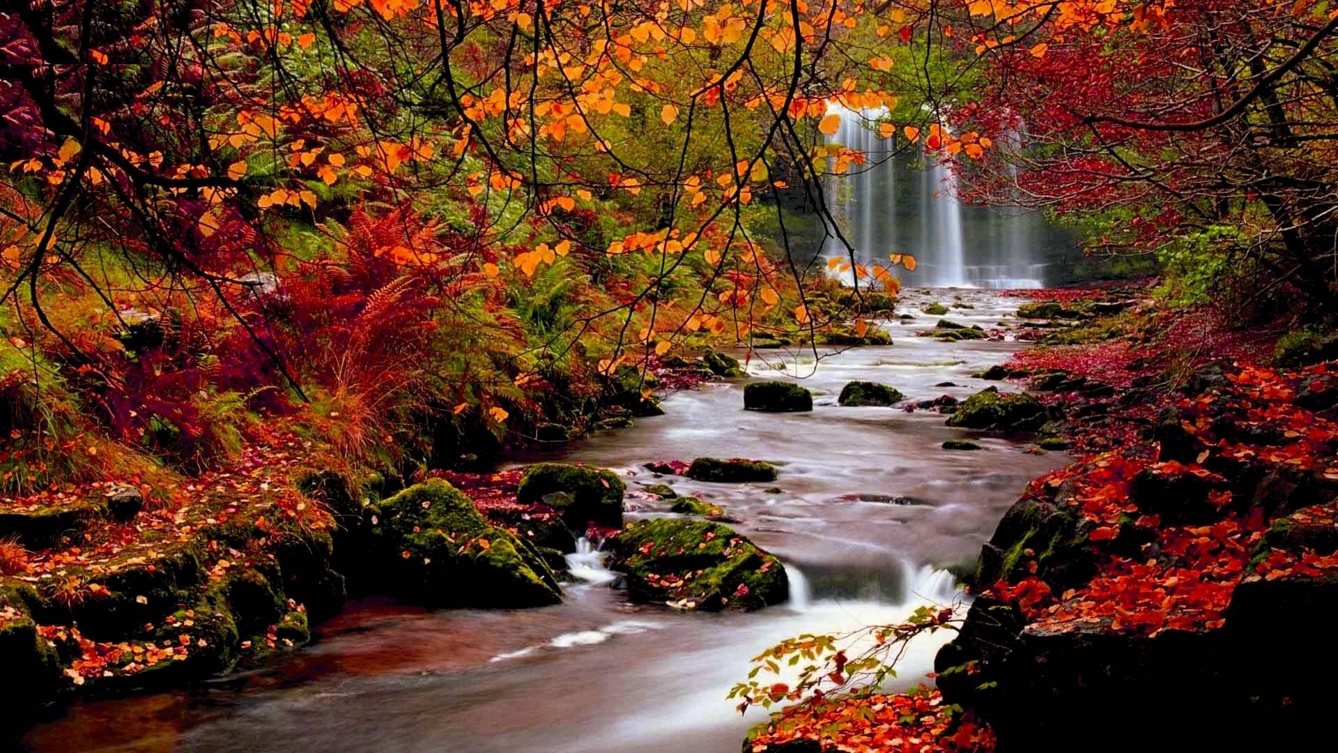 Beautiful Autumn Photos and Premium High Res Pictures Getty.