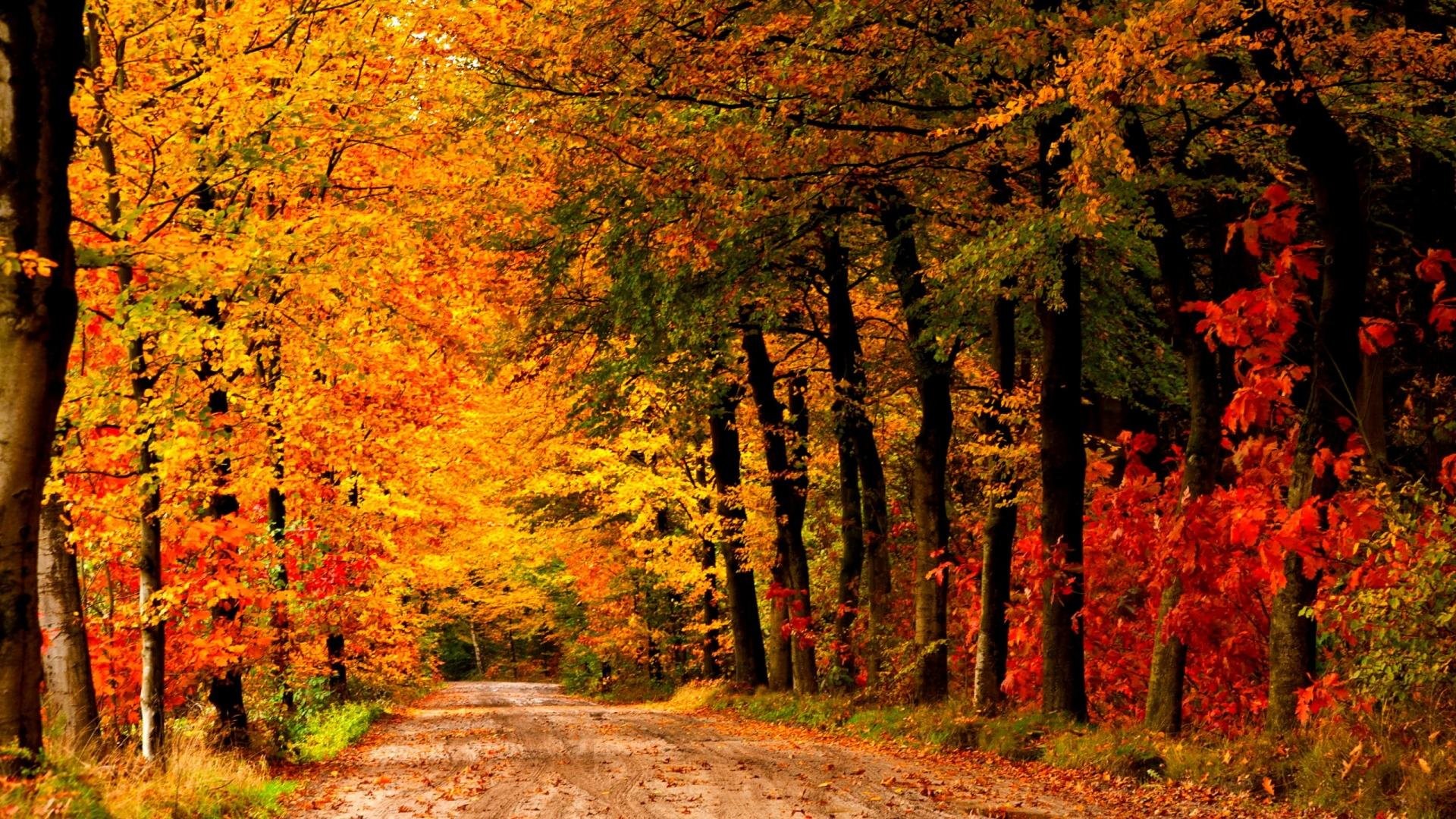 Fall Landscape Wallpaper (48+ images)
