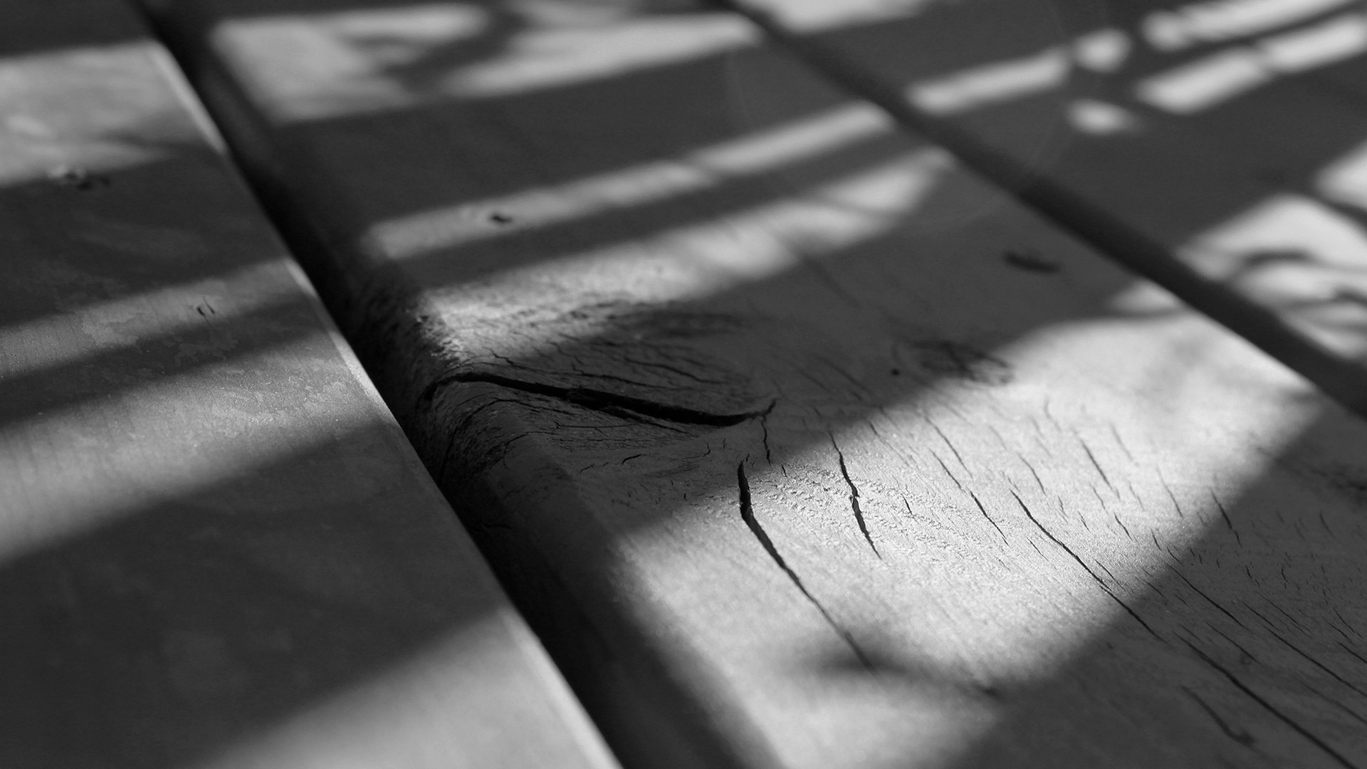 Black And White Woods Wallpaper (52+ images)