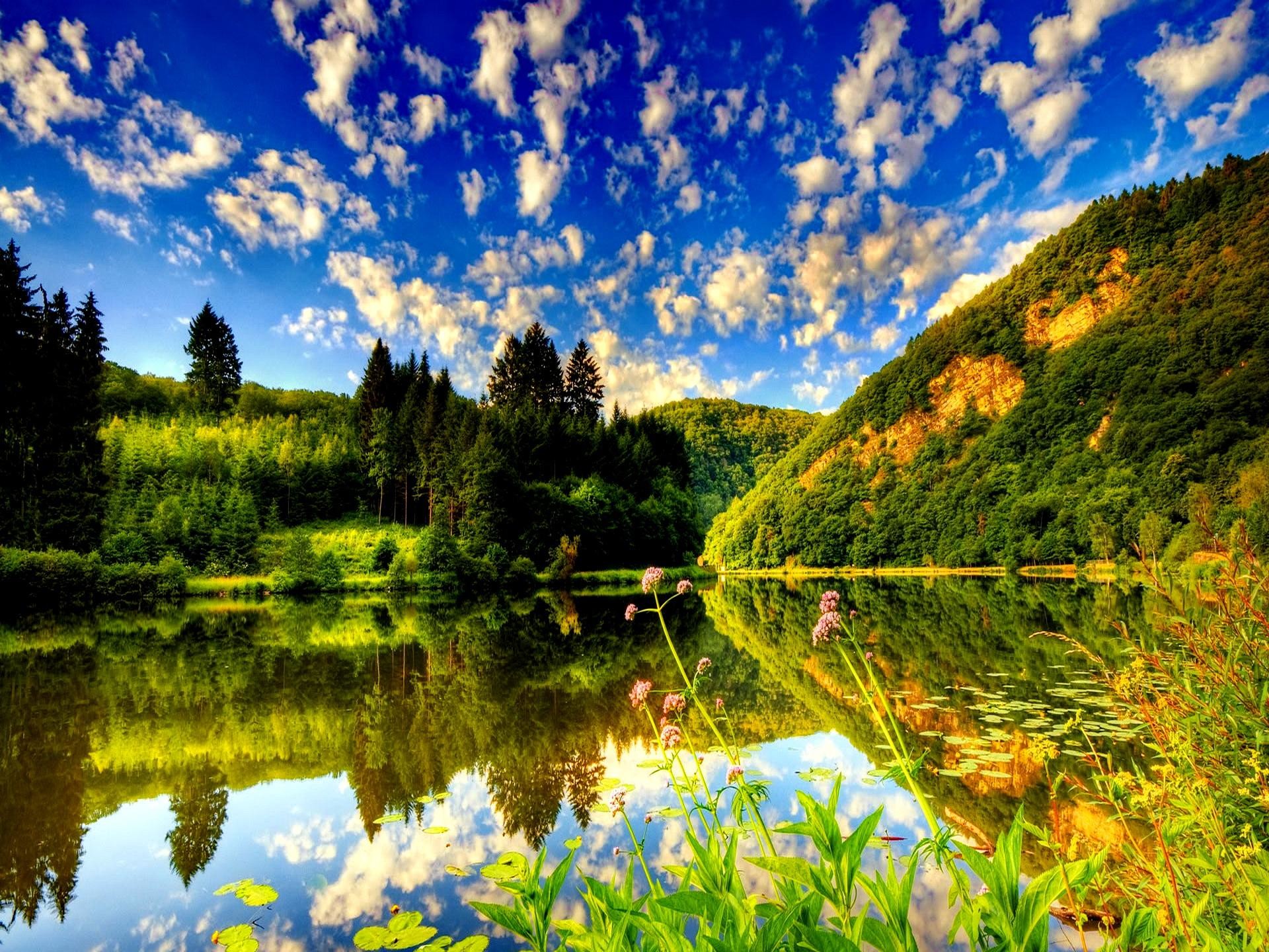 Summer Nature Wallpaper (56+ images)