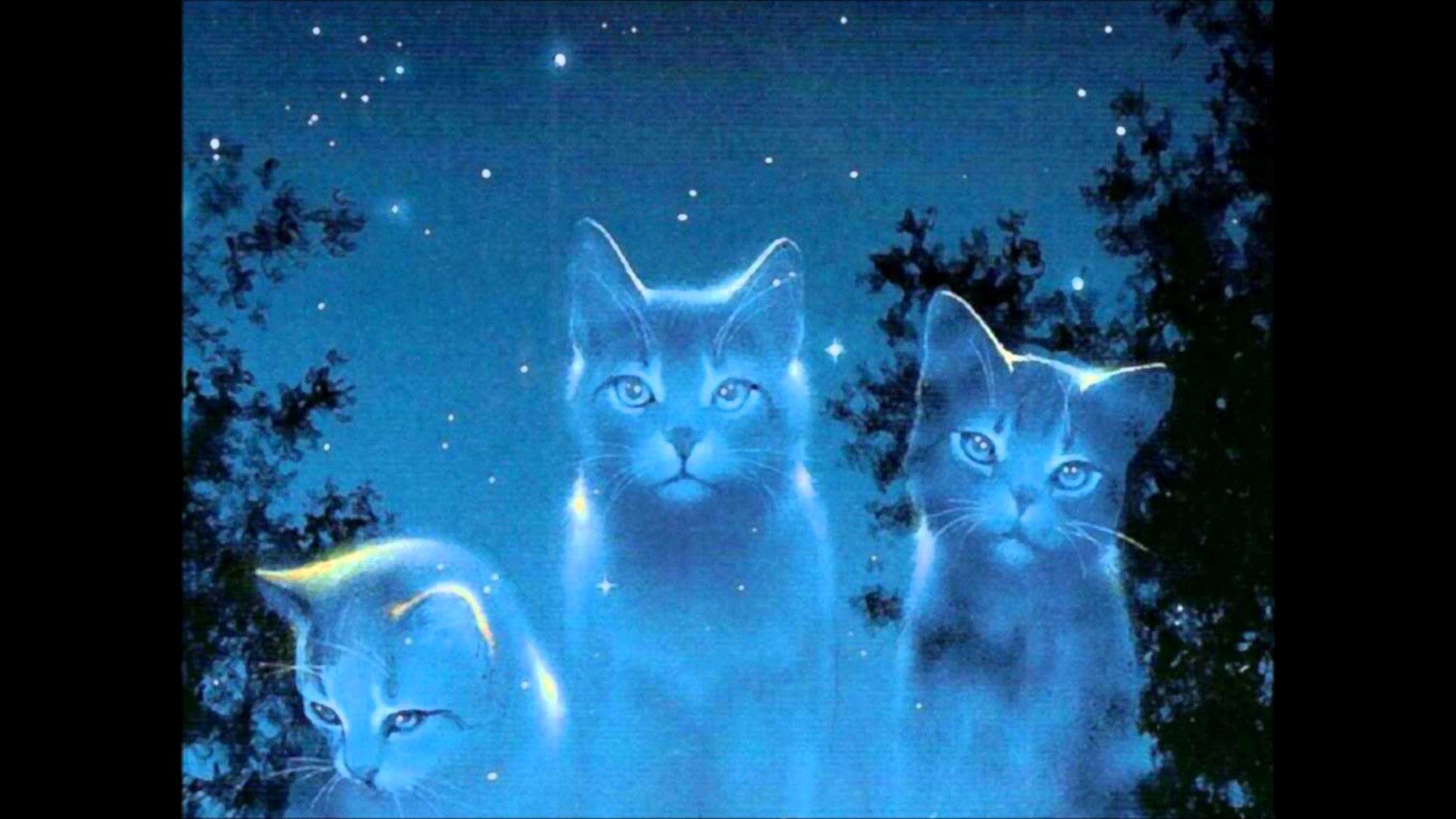 Warrior Cat Wallpapers Backgrounds (56+ images)