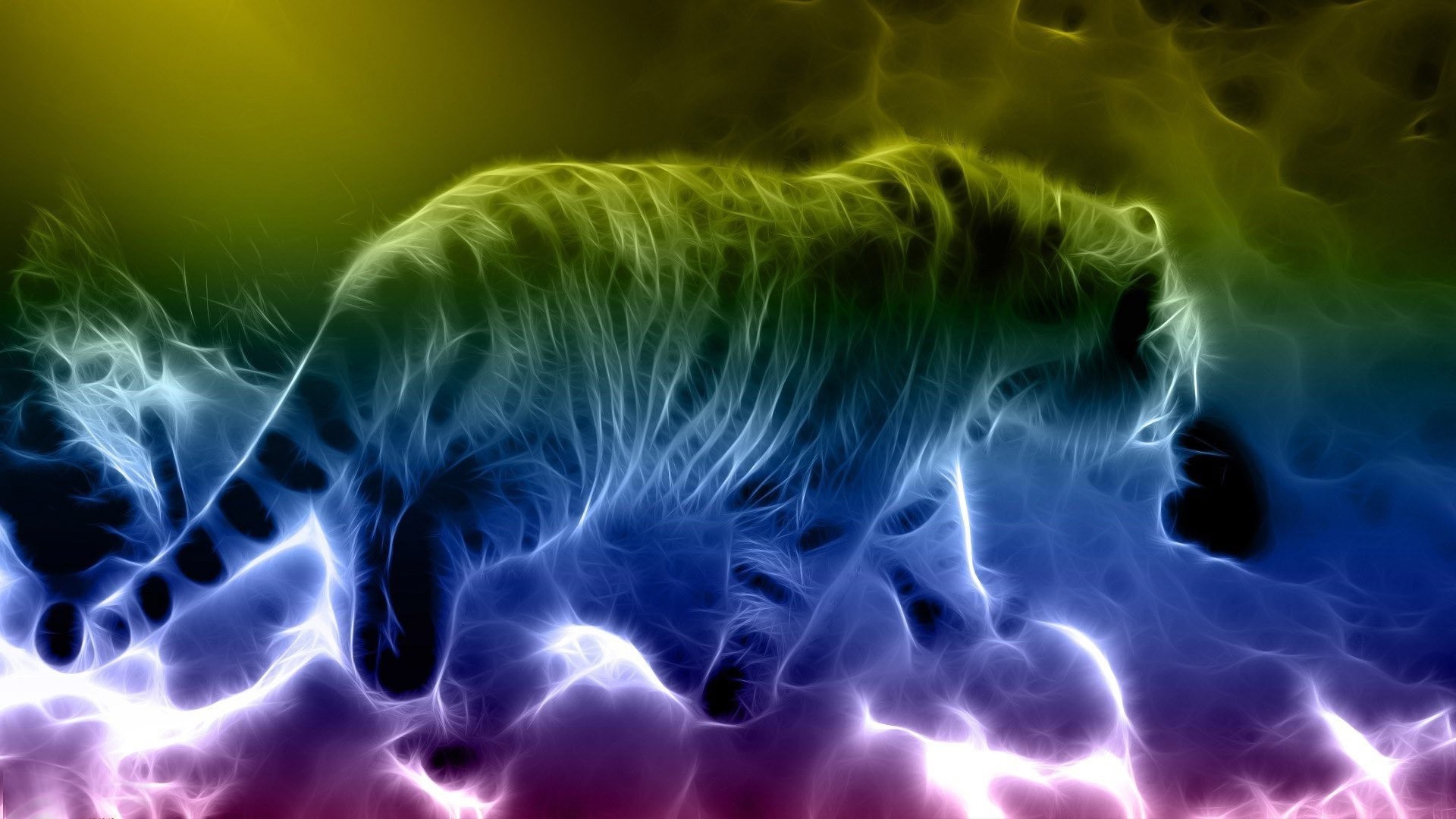 Neon Tiger Wallpaper (65+ images)