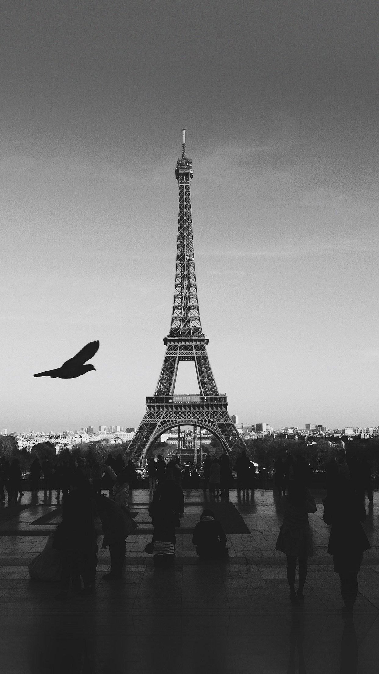 Black And White Paris Wallpaper (57+ images)