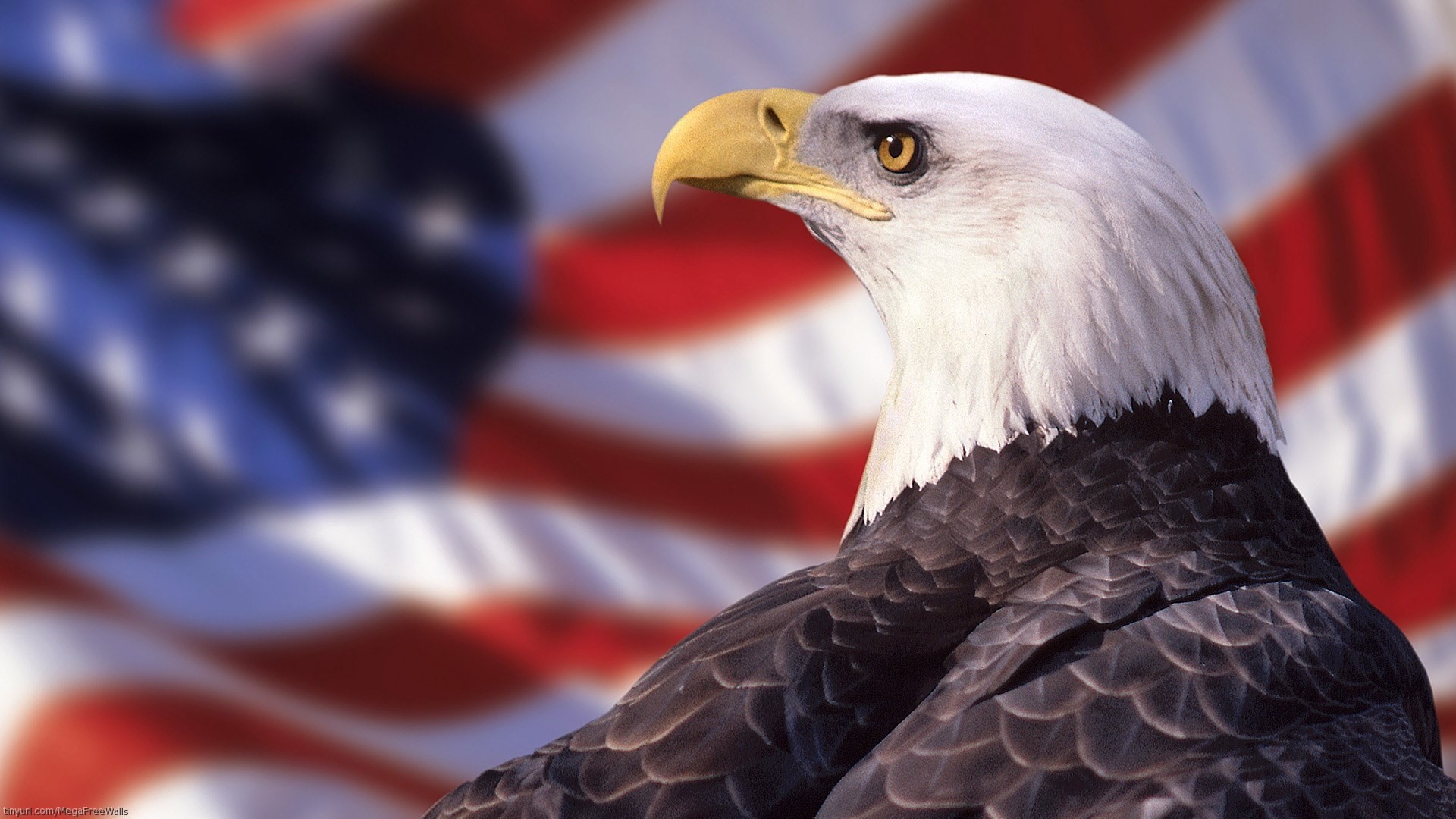 American Greeting Wallpaper and Screensavers (53+ images)