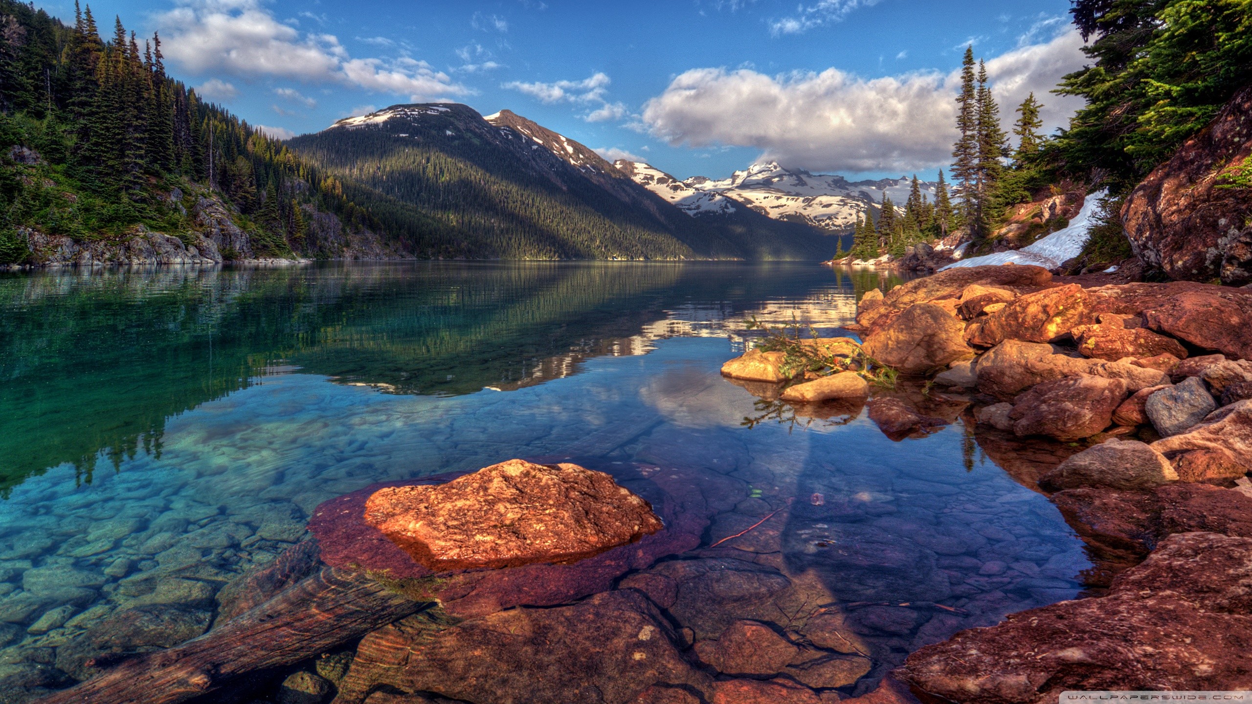 WQHD Wallpapers (85+ images)