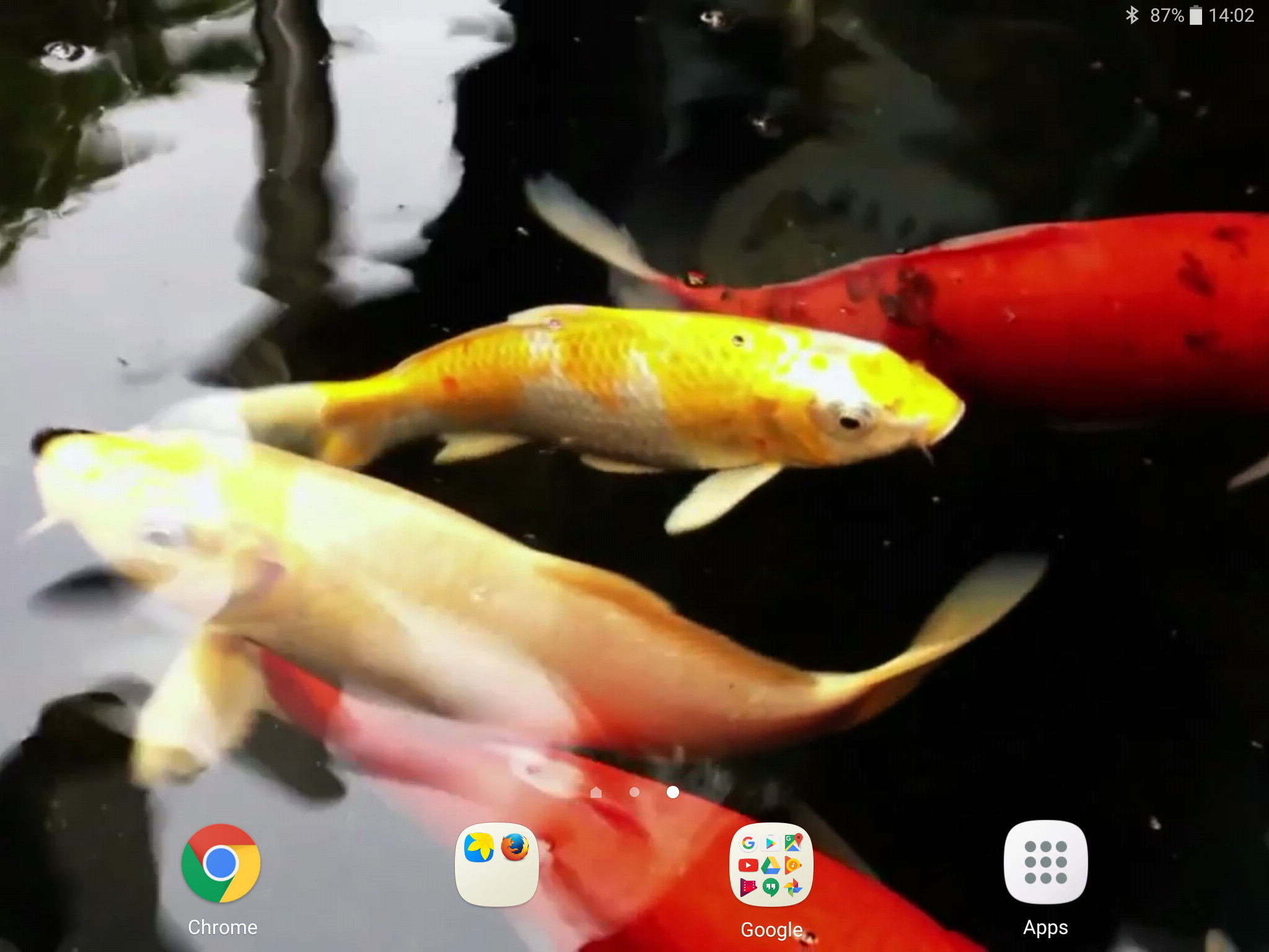 Koi Live Wallpaper Apk Full Version