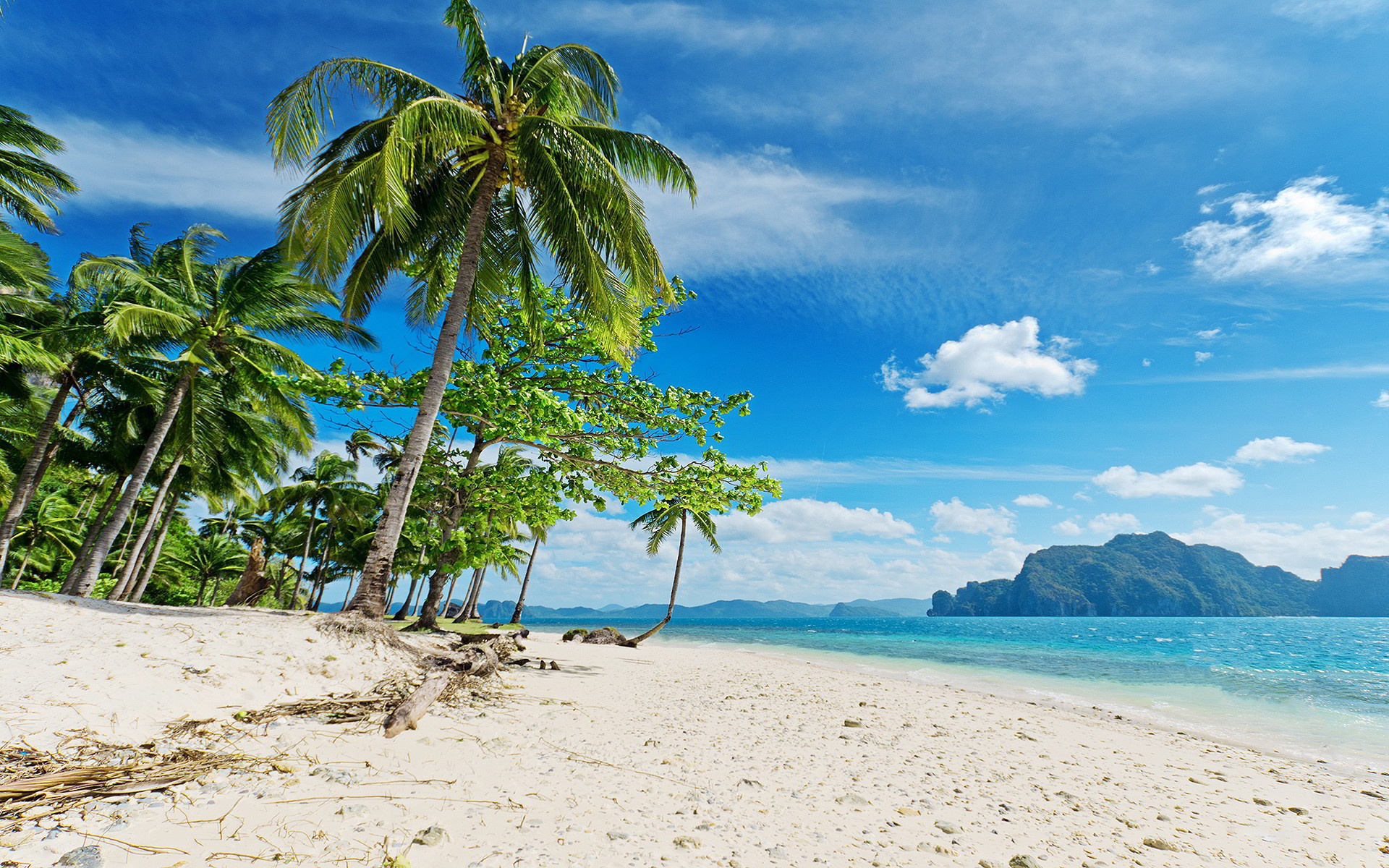 [59+] Tropical Beach Wallpaper WallpaperSafari