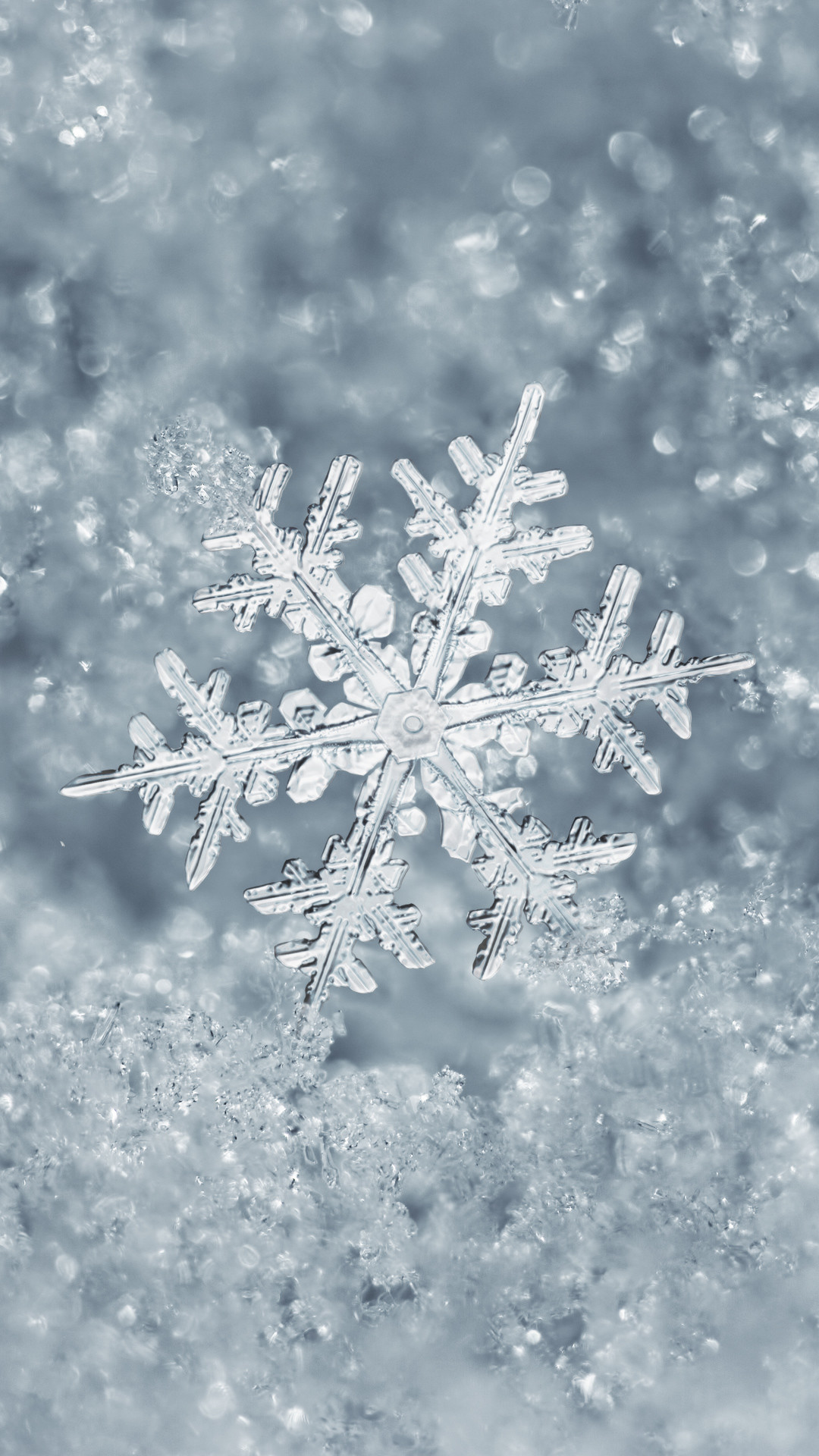 Live Snow Falling Wallpaper (54+ images)
