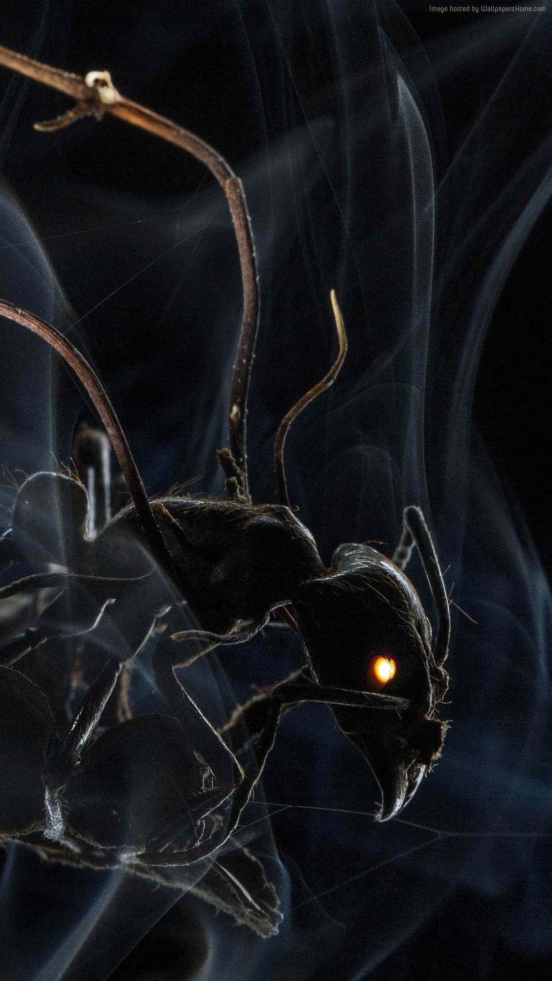 Pc Lock Screen Wallpapers 4k