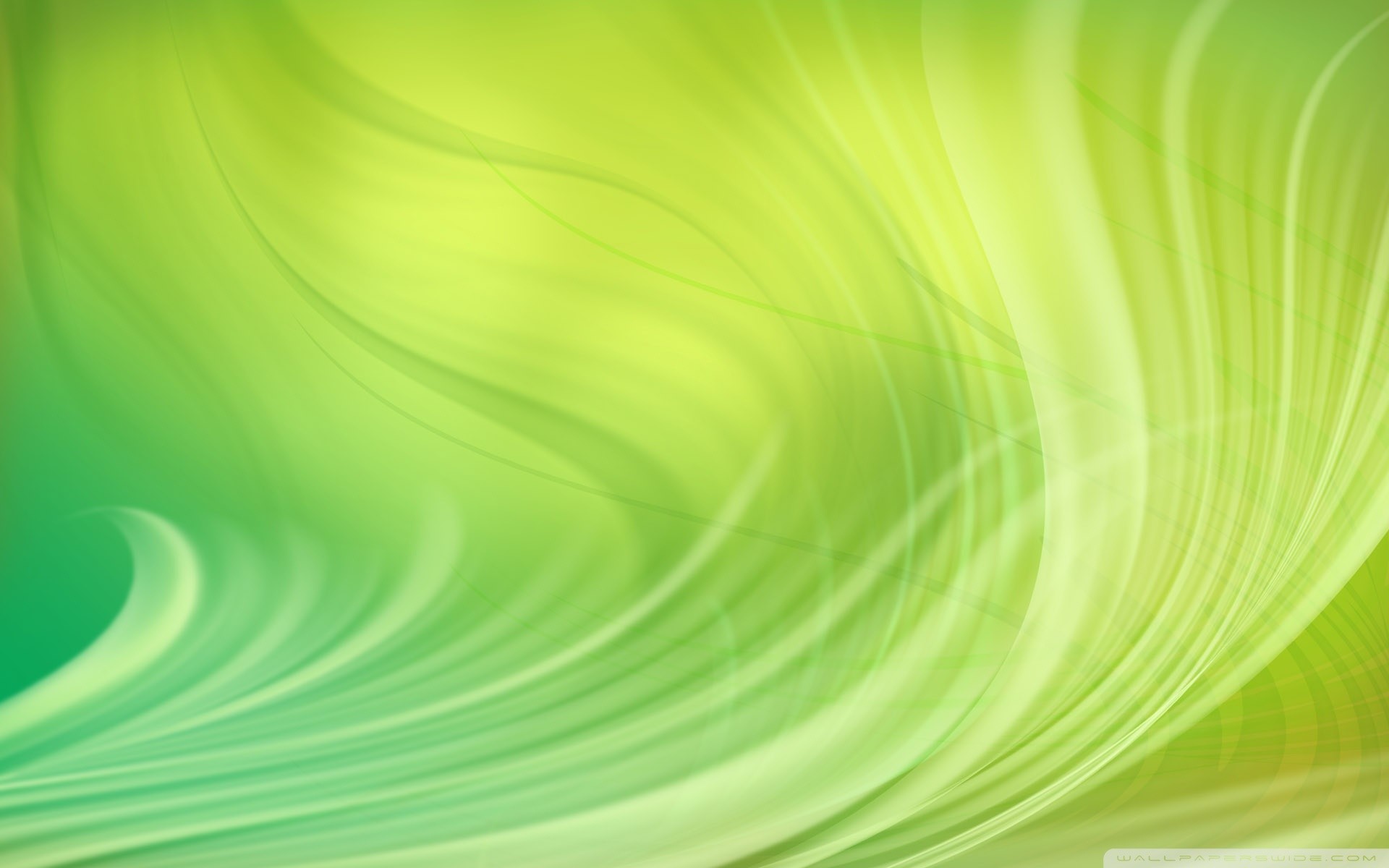 Light Green Wallpaper (56+ images)