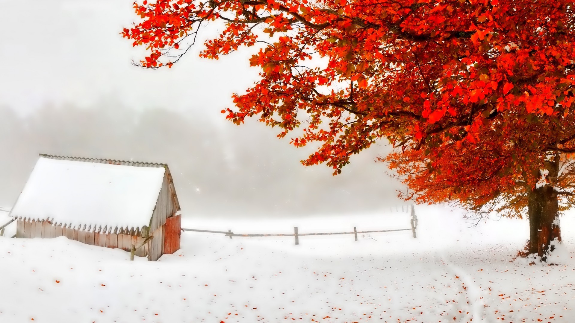 Desktop Backgrounds Winter (59+ images)