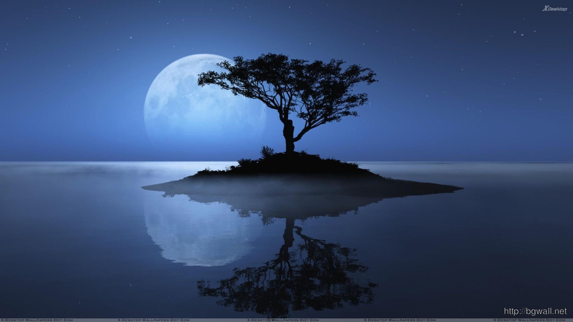 Blue Moon Wallpaper (63+ images)