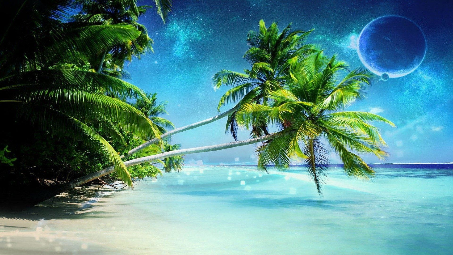 Palm Tree Wallpaper (68+ images)