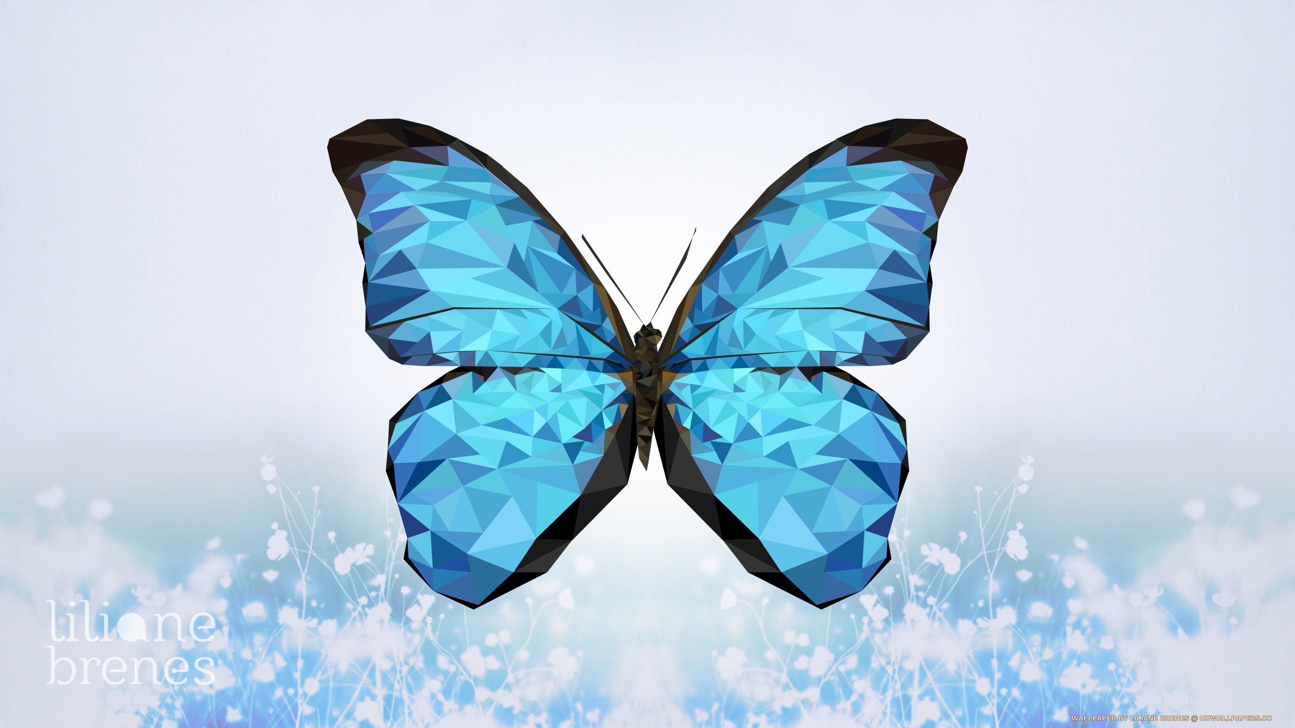 Blue Butterfly HD Wallpaper (70+ images)