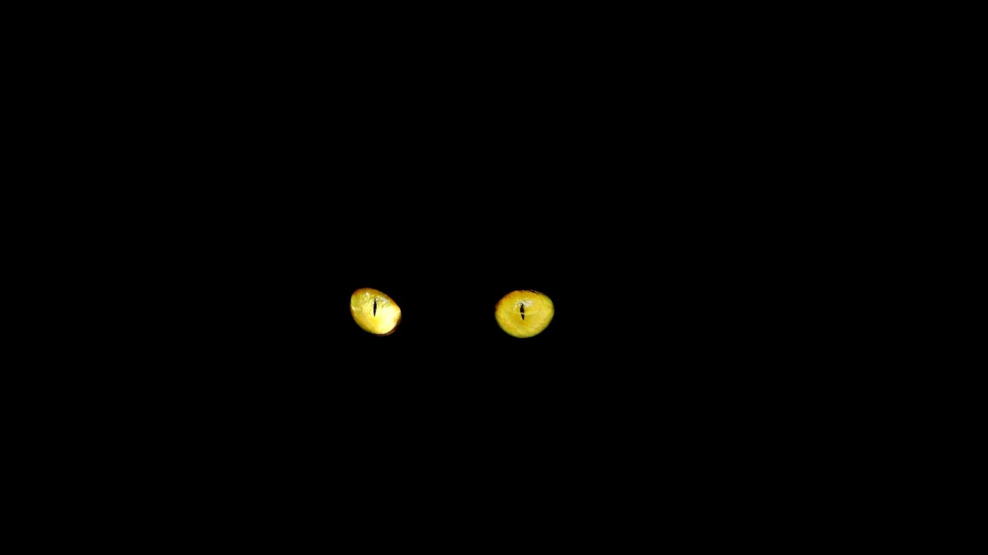 Black Cat Eyes Wallpaper (69+ images)