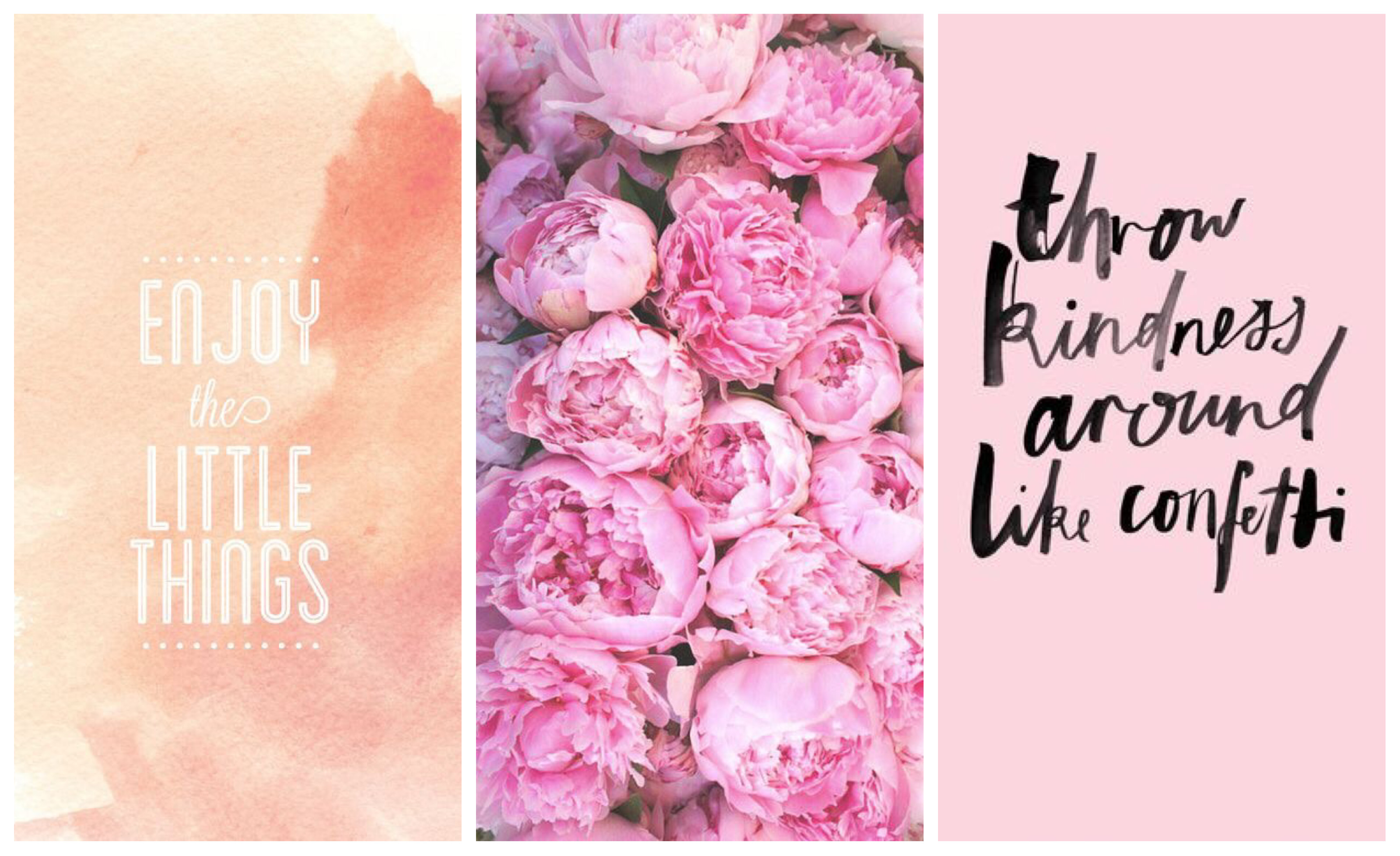 Rose Gold Flower Wallpaper Iphone Nature imgfoxglove