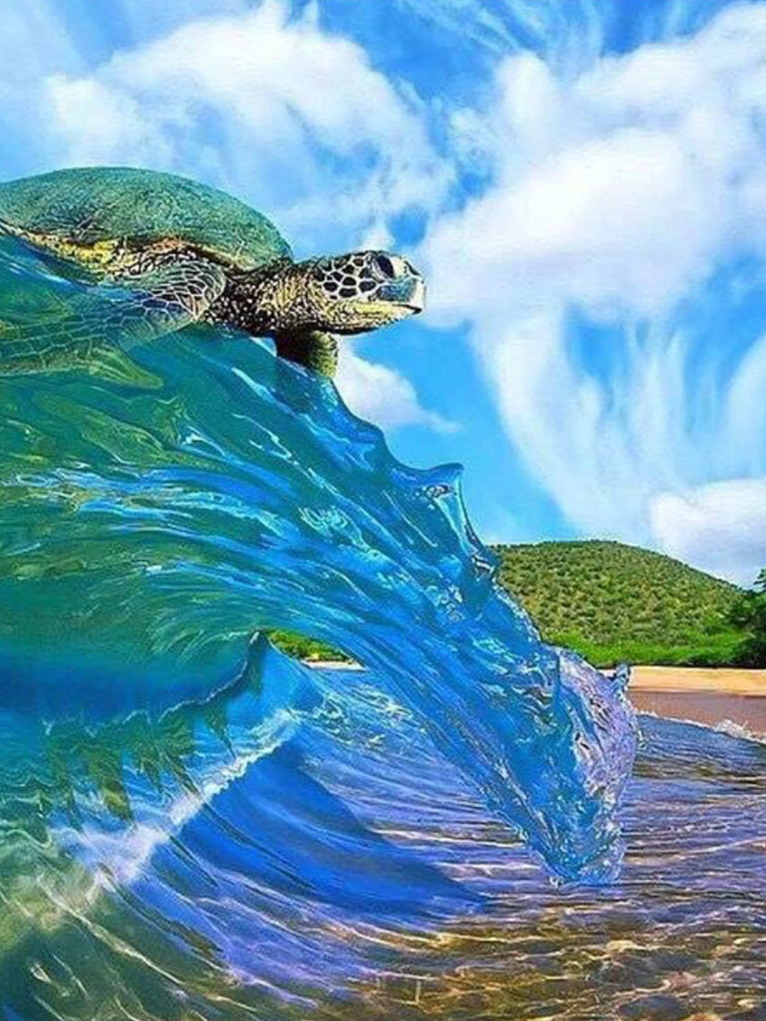 Clark Little Wallpaper (59+ images)