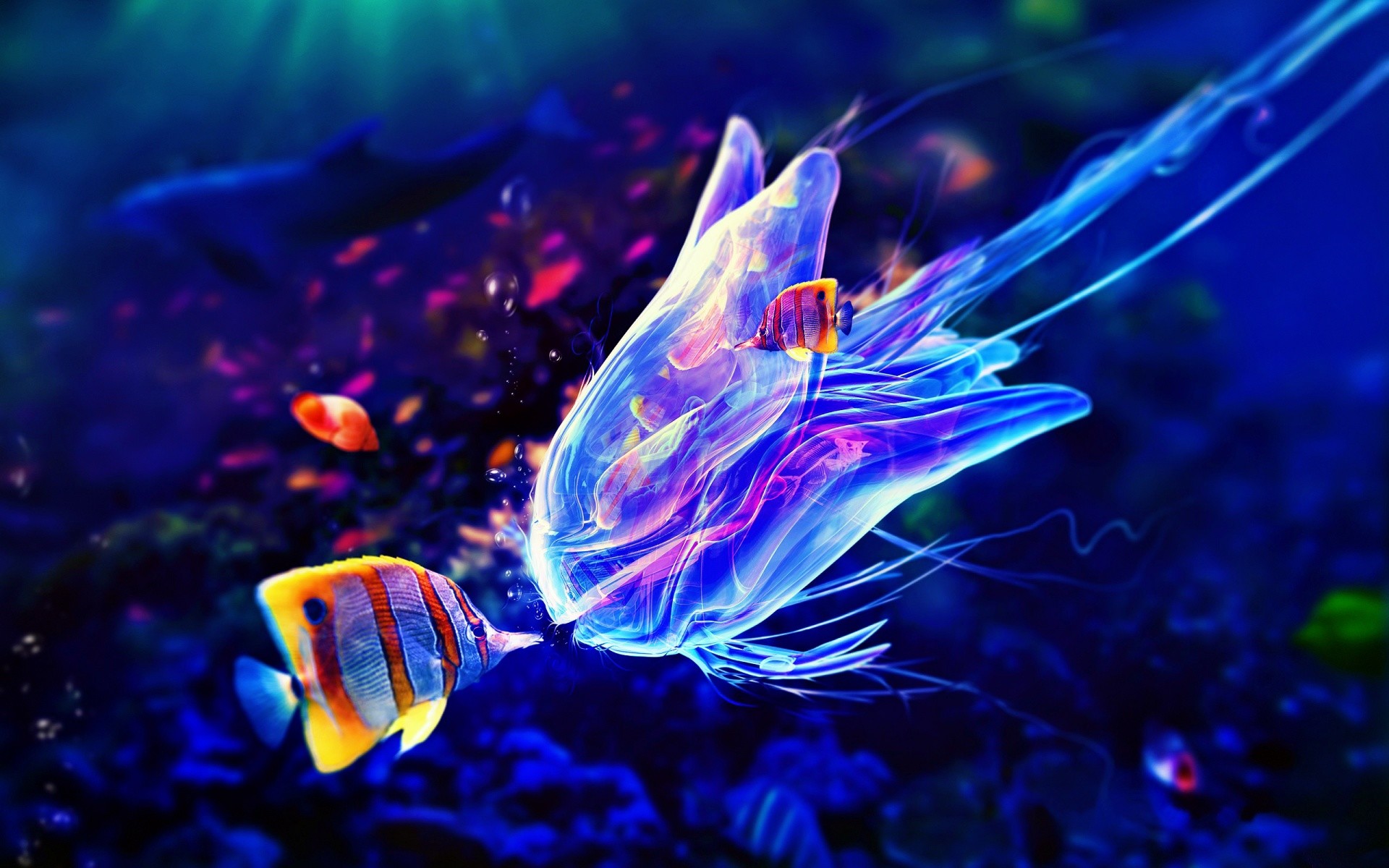 HD Ocean Sea Life Wallpapers (47+ images)