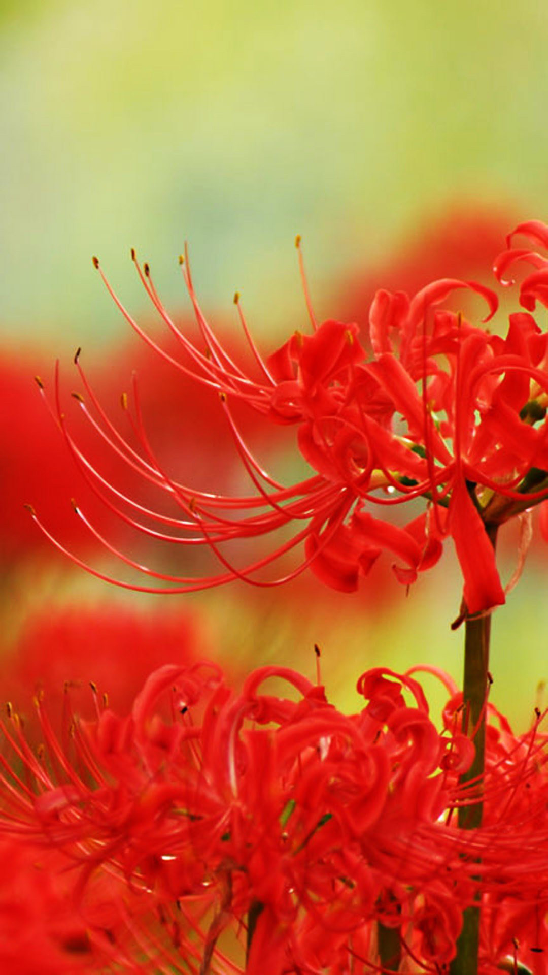 Samsung Galaxy S6 Wallpaper (88+ images)