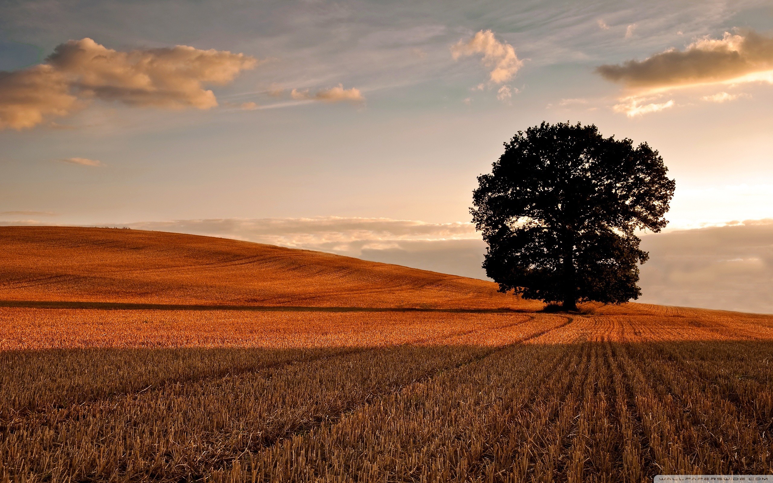 Autumn Sunsets Wallpaper Backgrounds (57+ images)