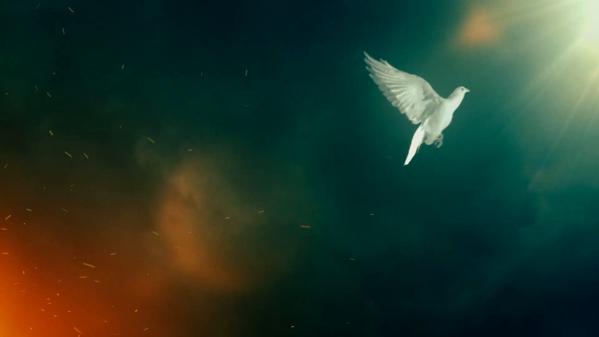 White Doves Background Wallpaper