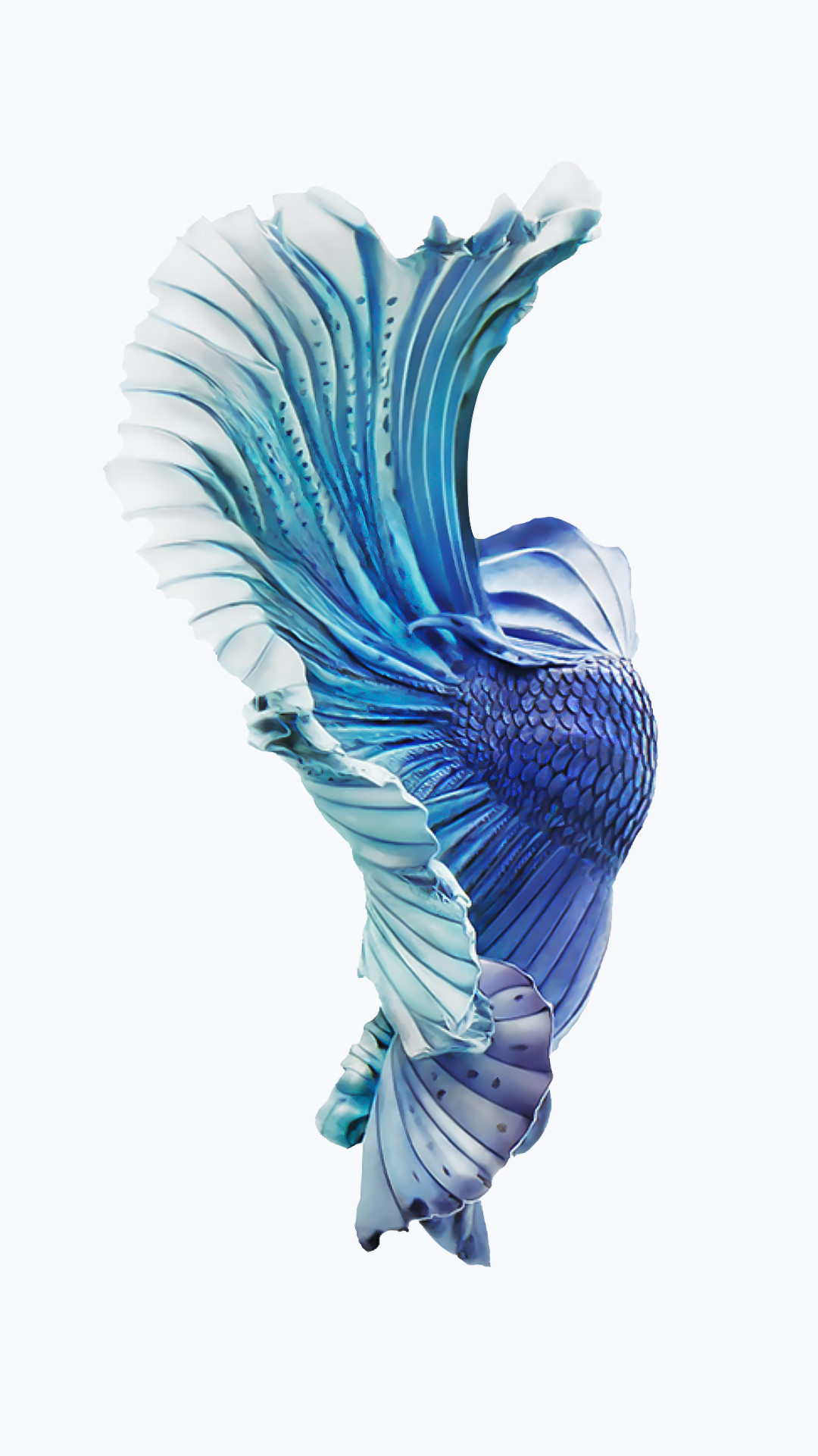 IPhone 6S Fish Wallpapers (75+ images)