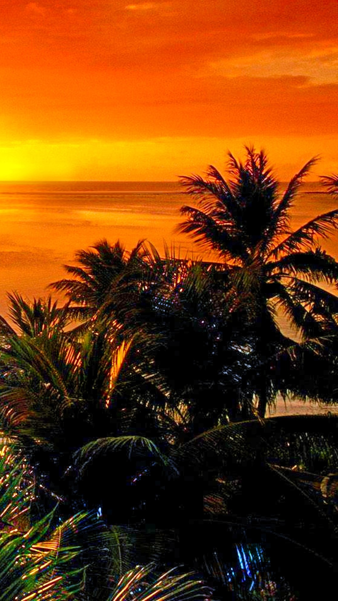 Palm Tree Sunset Wallpaper (70+ images)