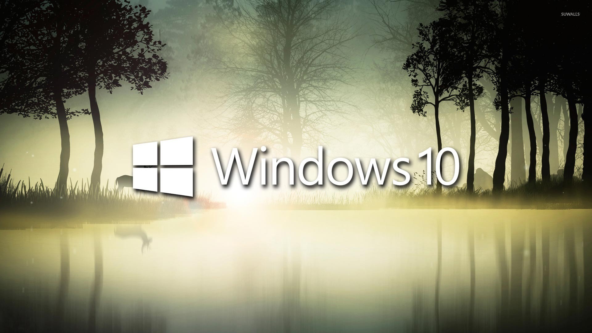 Desktop Hintergrundbilder Bilder und Fotos Pexels