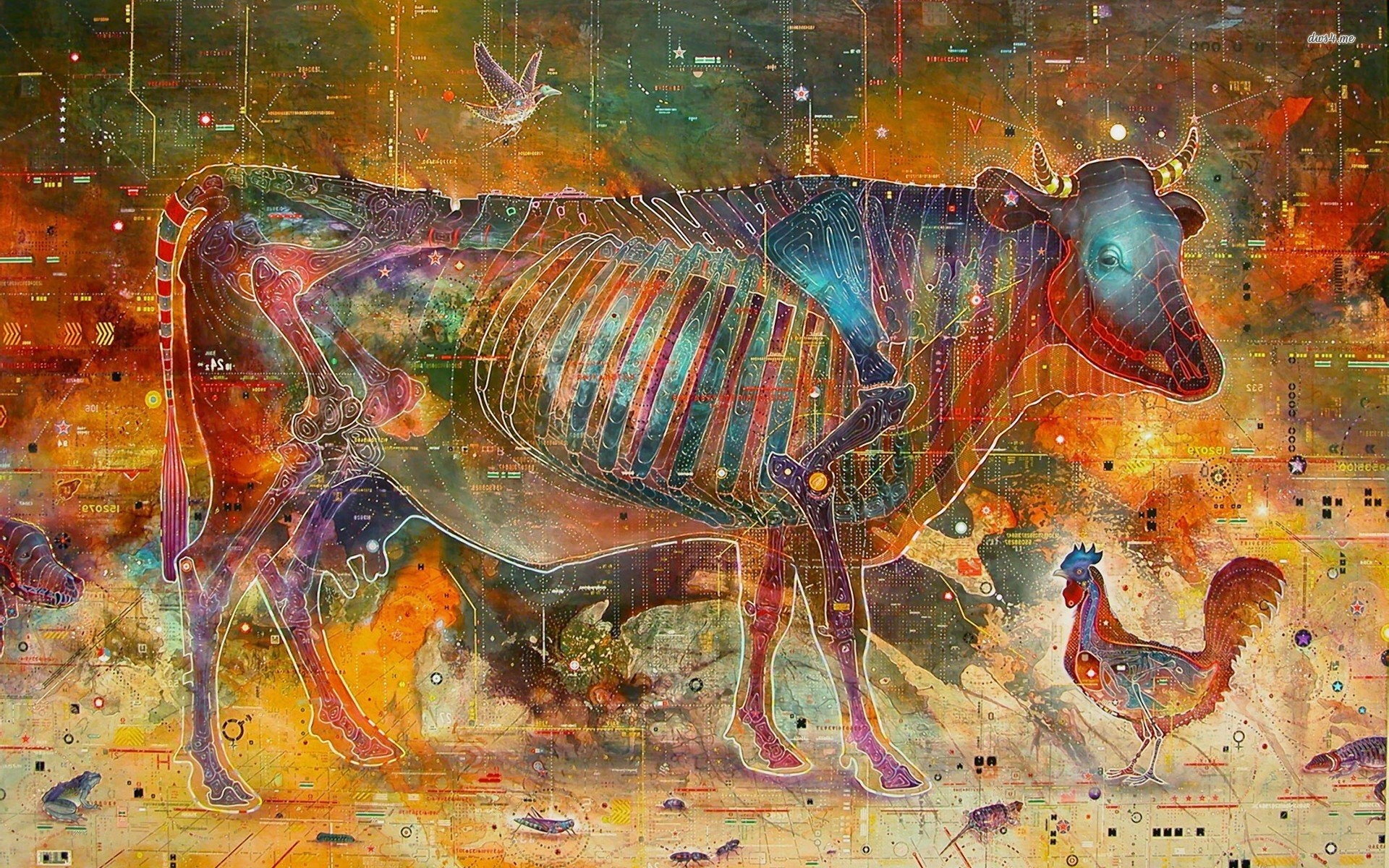Anatomy Wallpaper HD (63+ images)