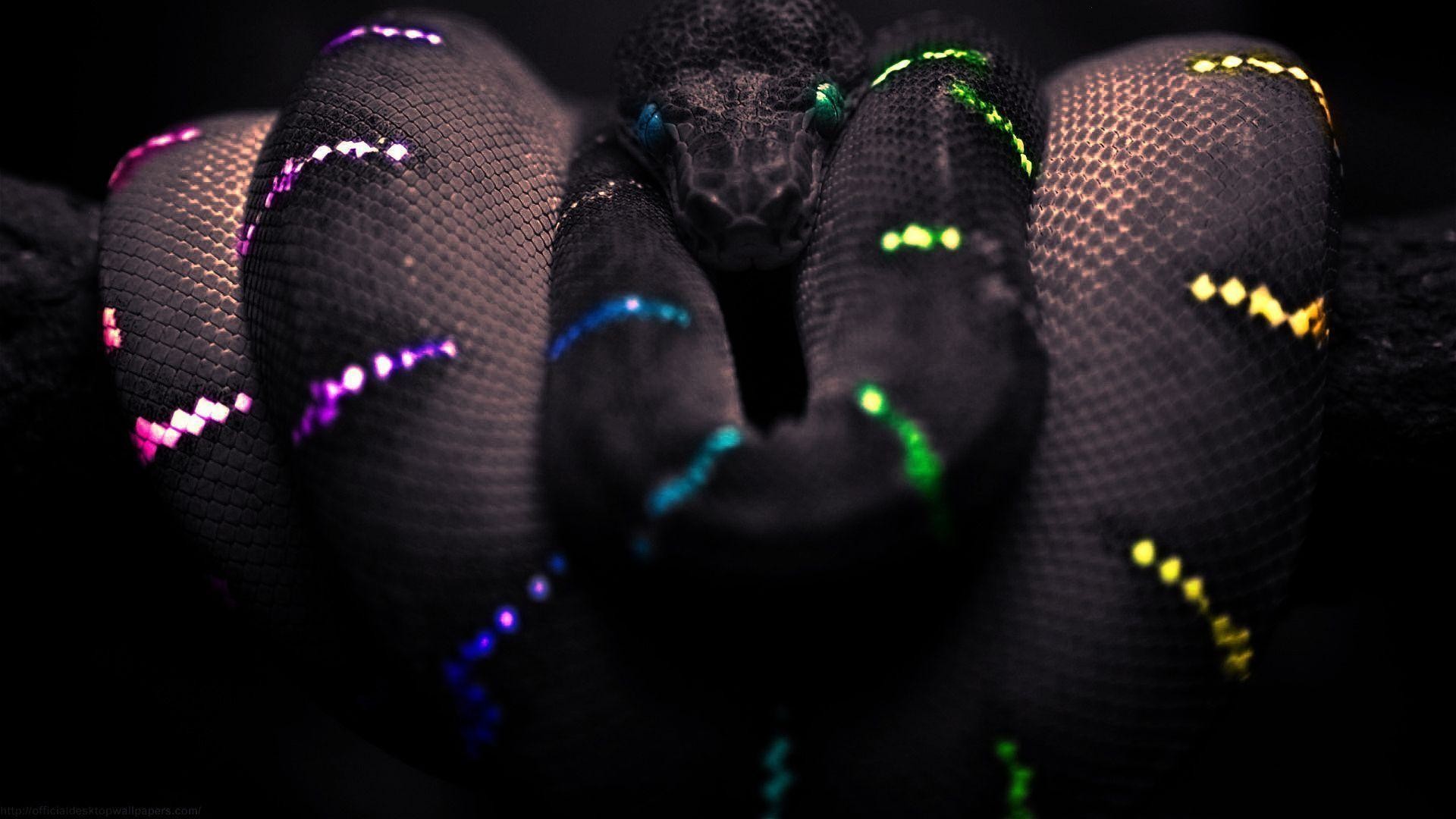 Black Snake Wallpaper (60+ images)