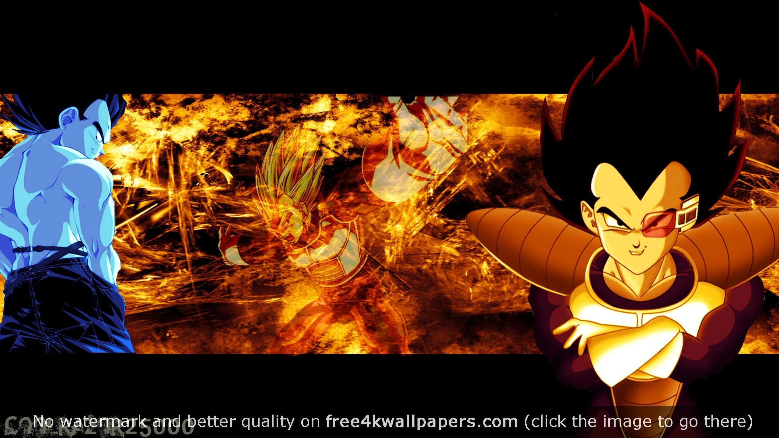 Dragon Ball Z Bardock Wallpaper (76+ images)