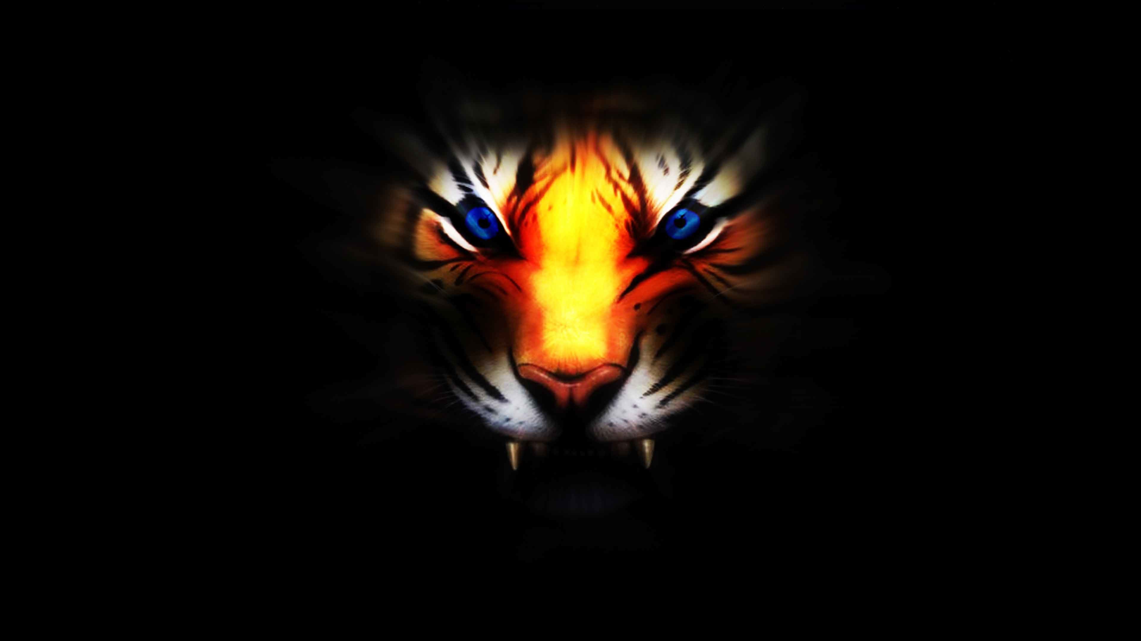 Cool Wallpapers Of Tigers (54+ images)