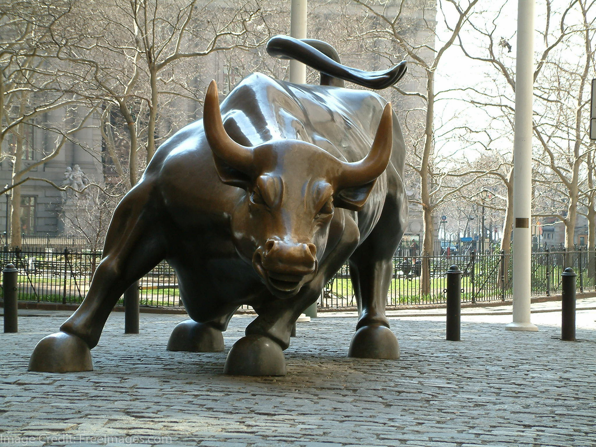 Wall Street Bull Wallpaper (61+ images)