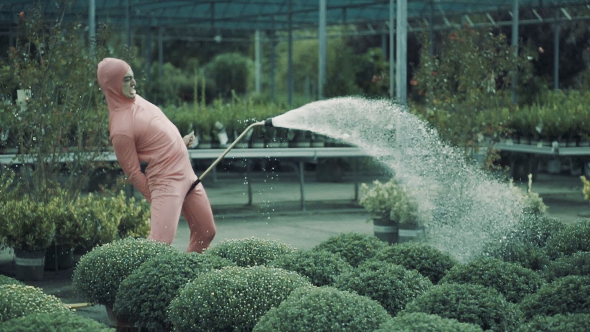 Pink Guy Wallpaper (87+ images)