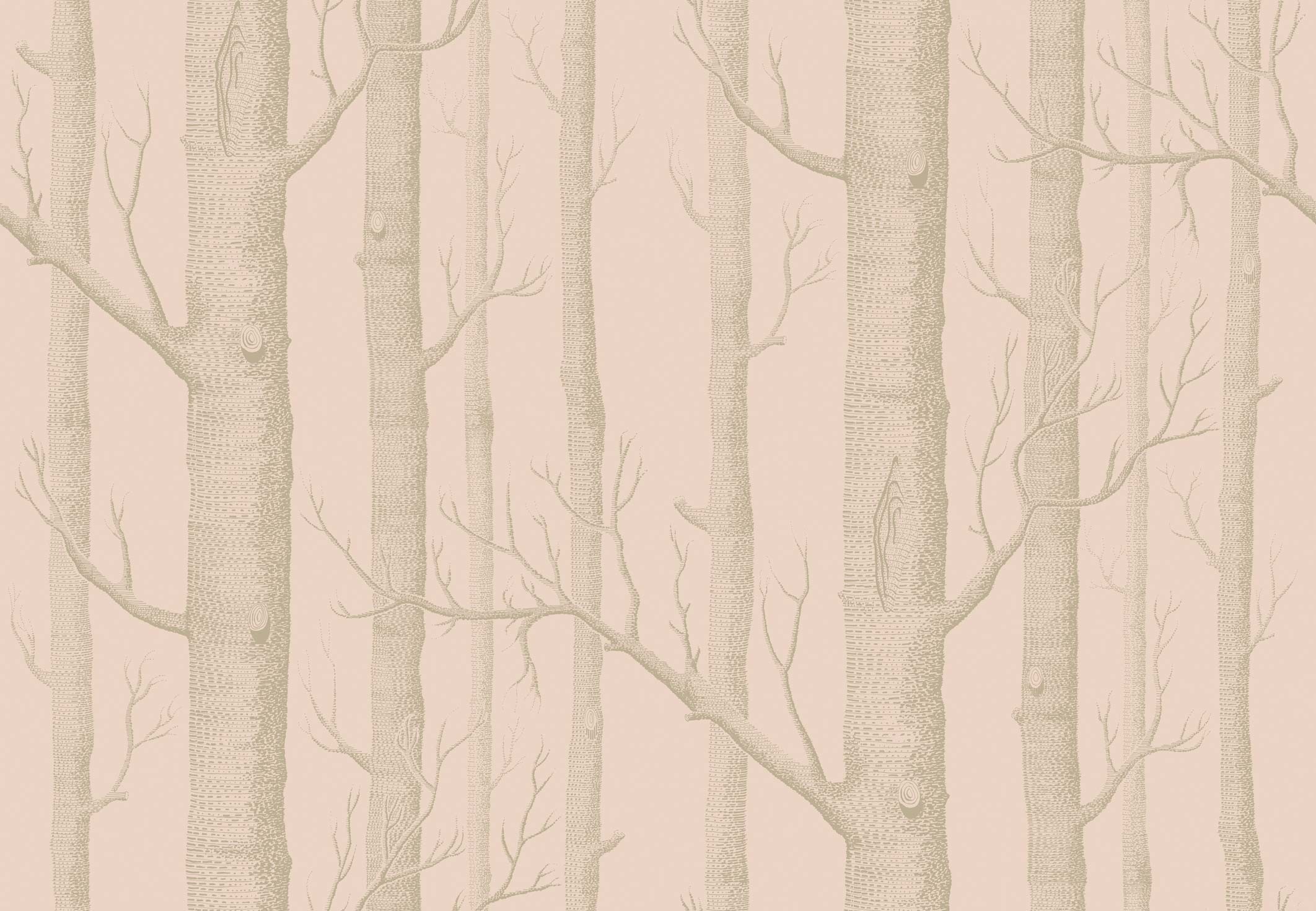 Birch Tree Wallpaper (52+ images)