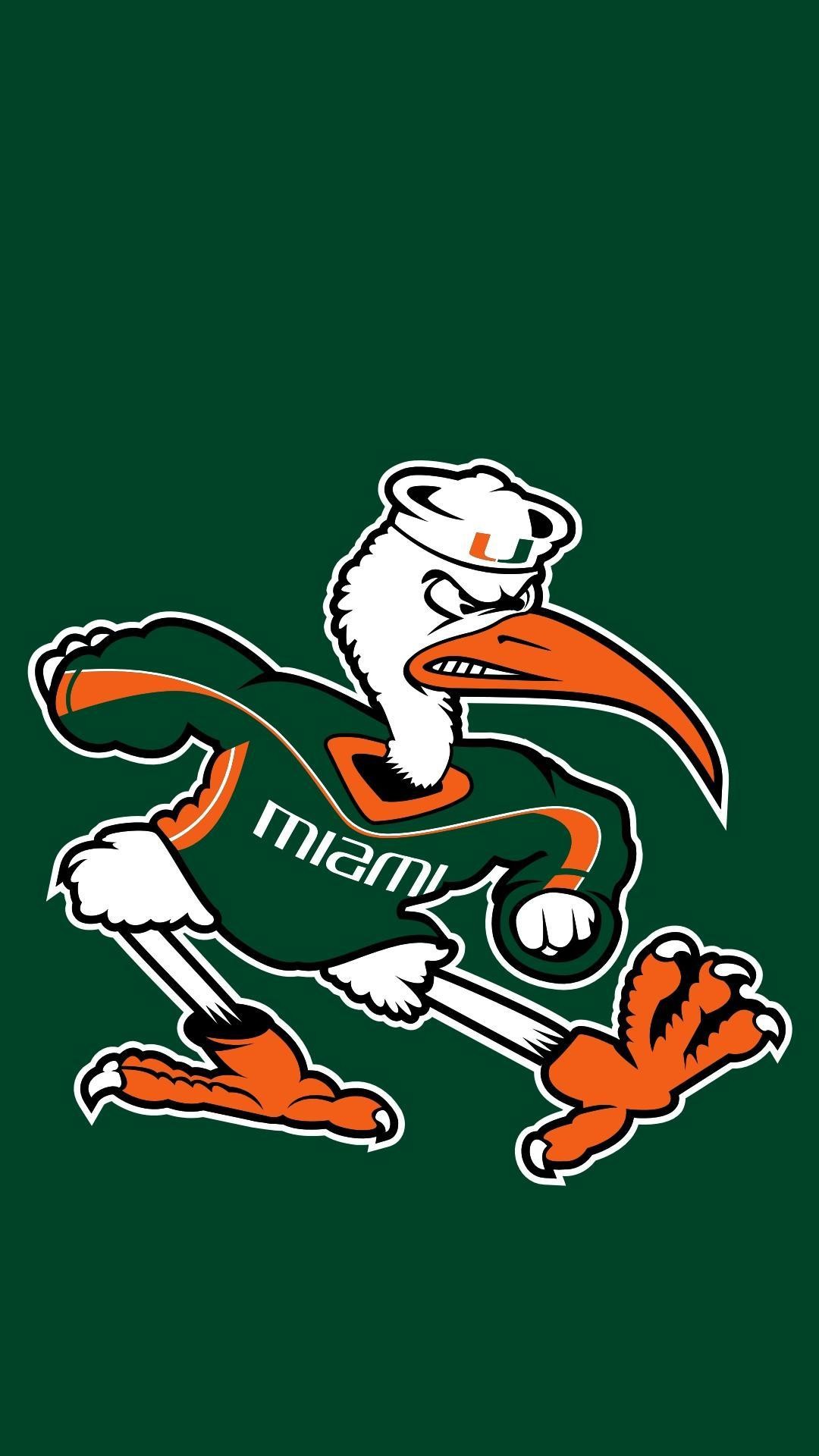 Miami Canes Wallpaper (59+ images)