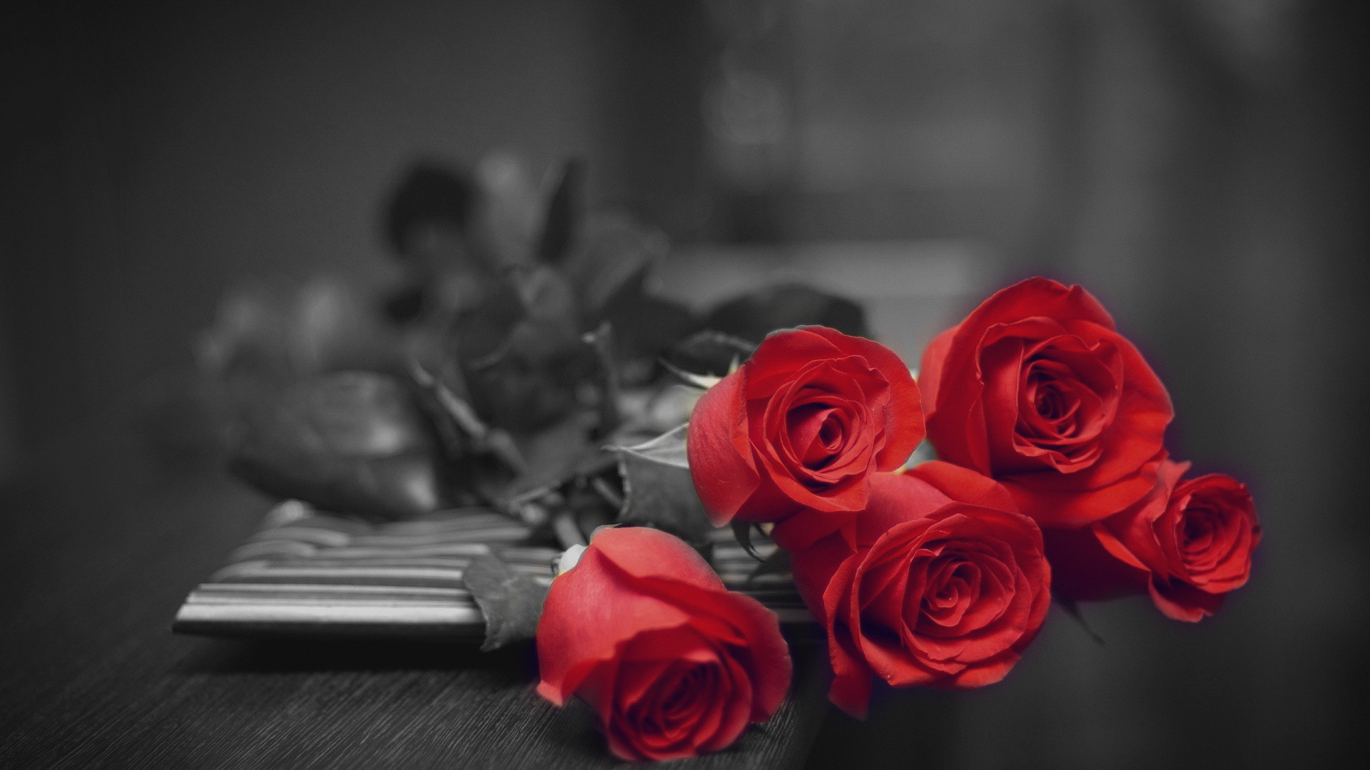 Black And Red Rose Wallpaper (63+ images)