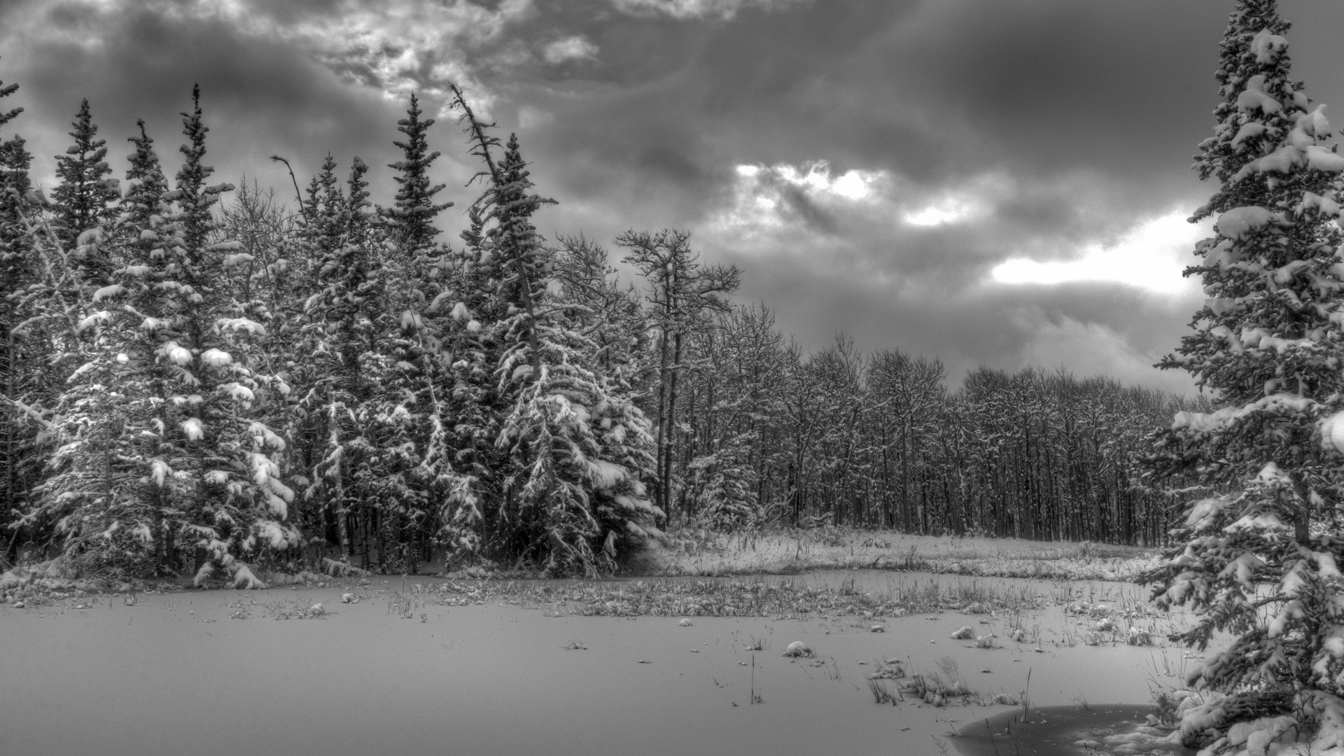 Black and White Snow Wallpaper (45+ images)
