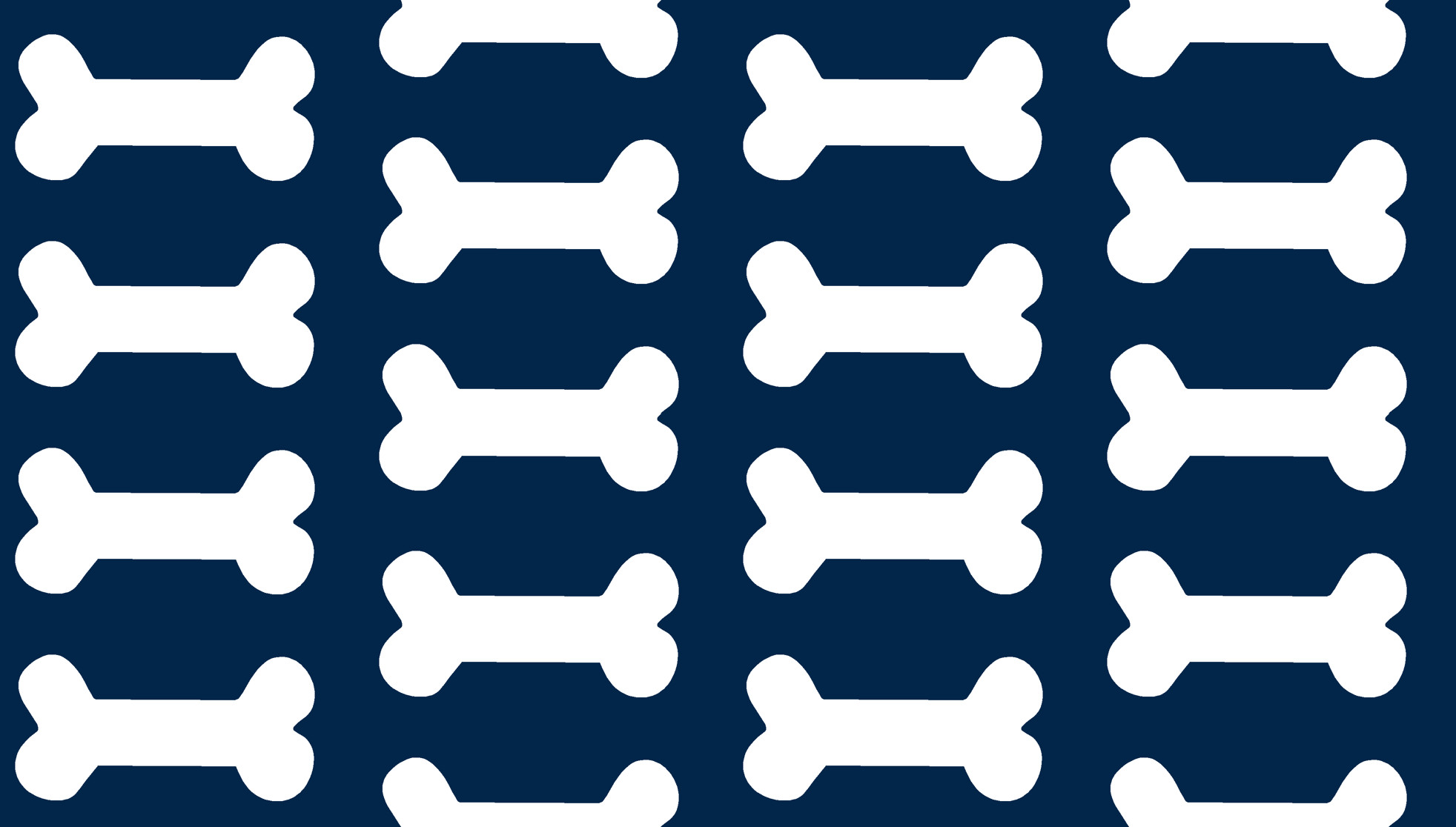 Dog Paws Wallpaper (41+ images)