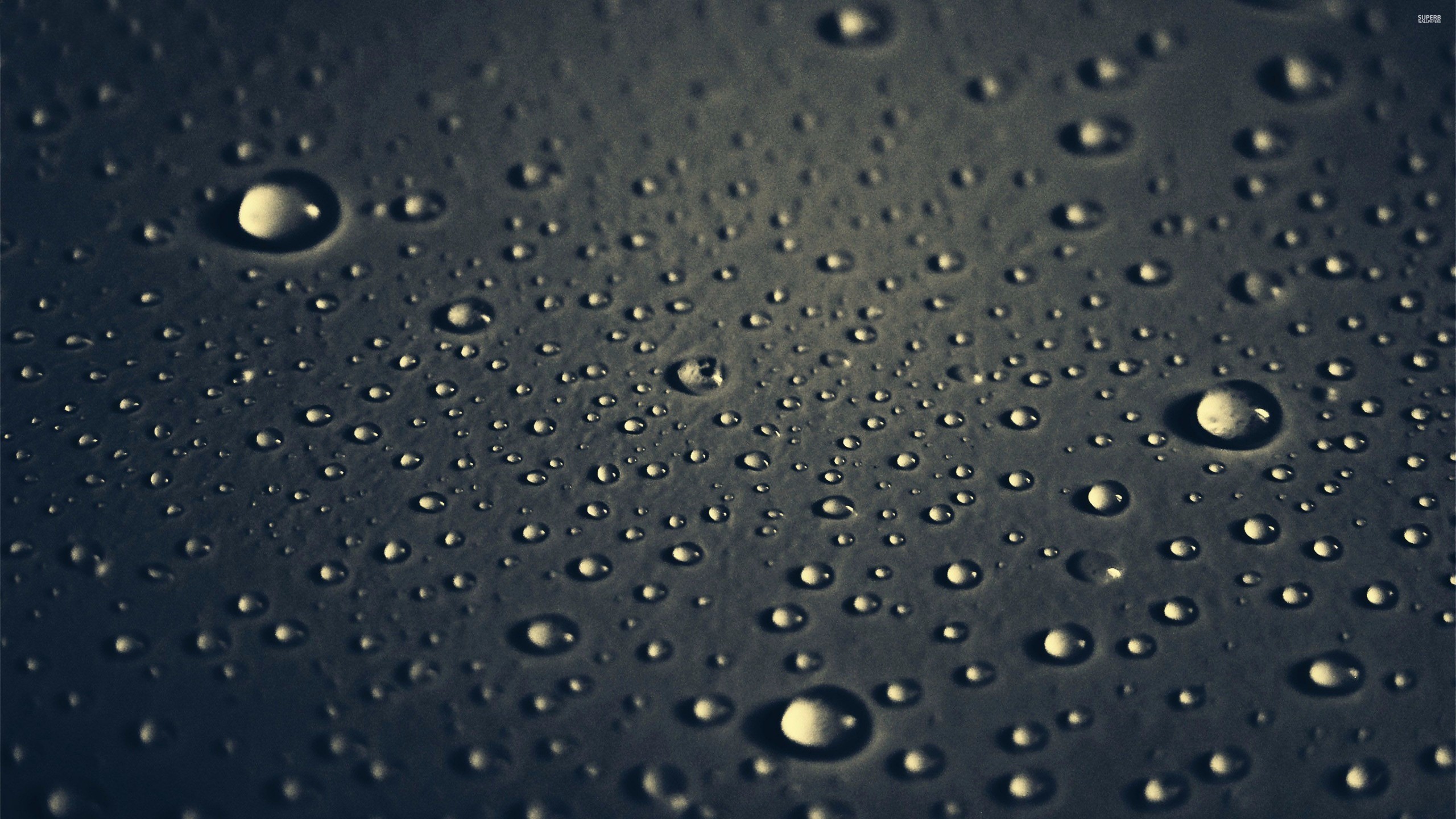4K Rain Wallpaper (47+ images)