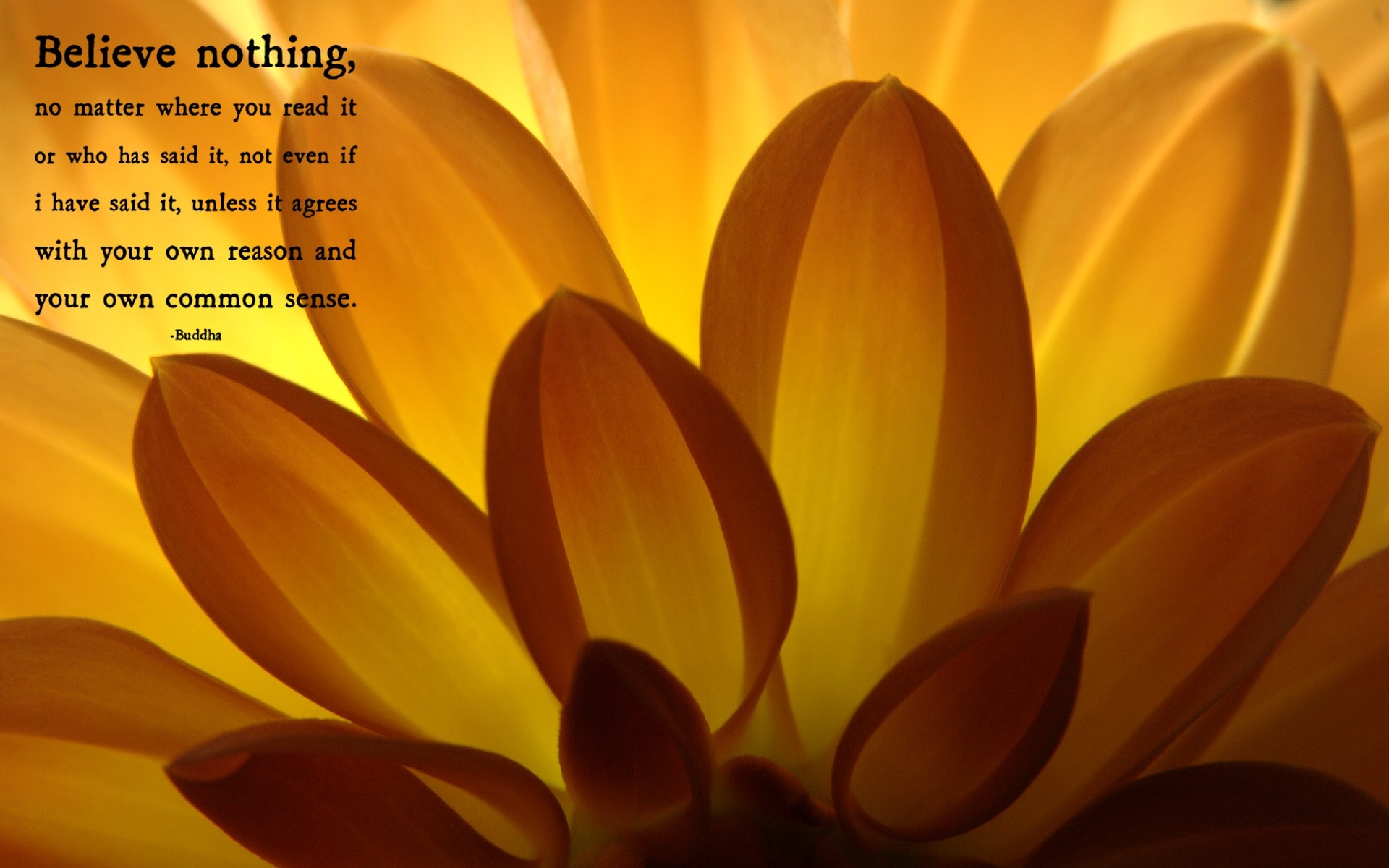 Zen Desktop Wallpaper (77+ images)