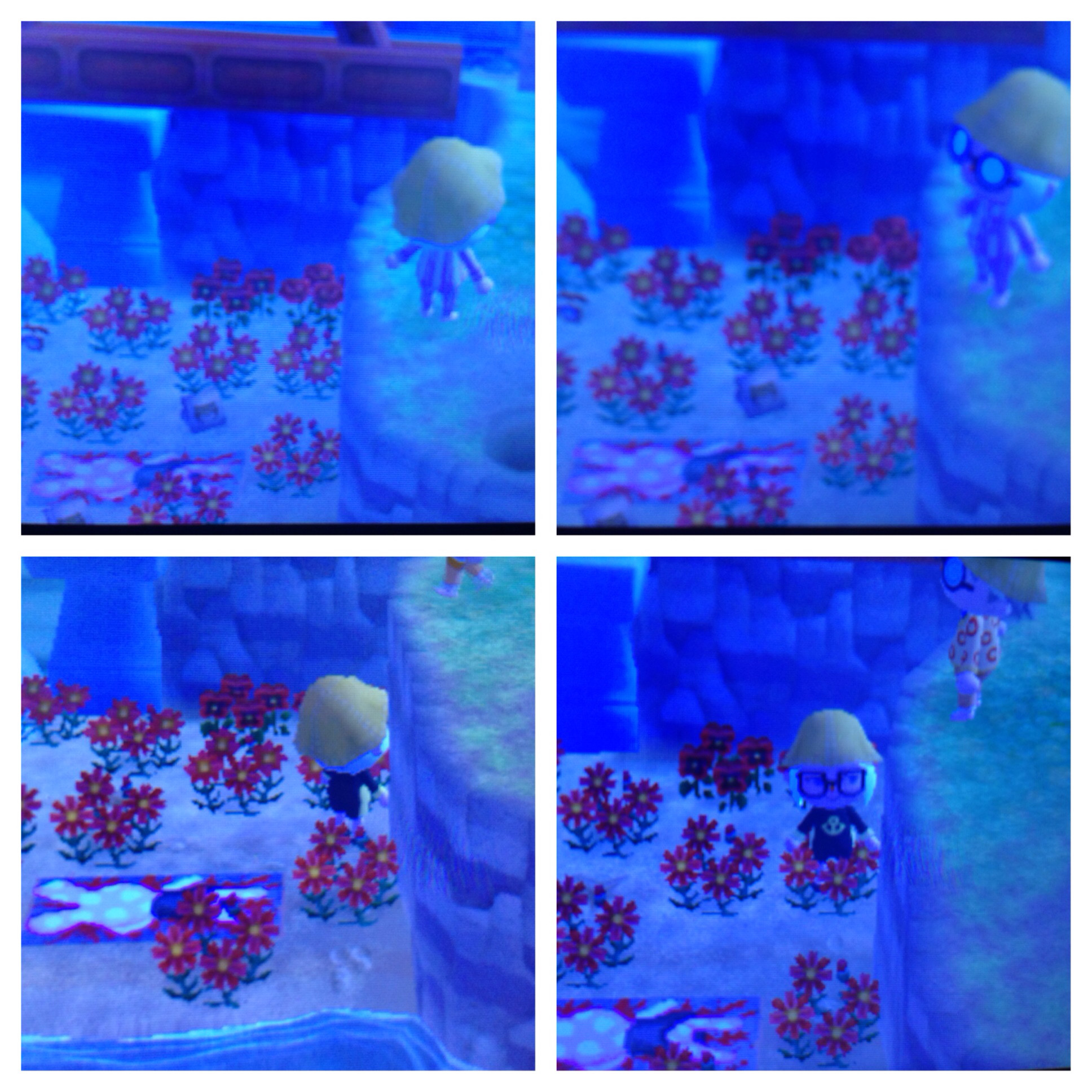 Animal Crossing New Leaf Wallpaper (72+ images)