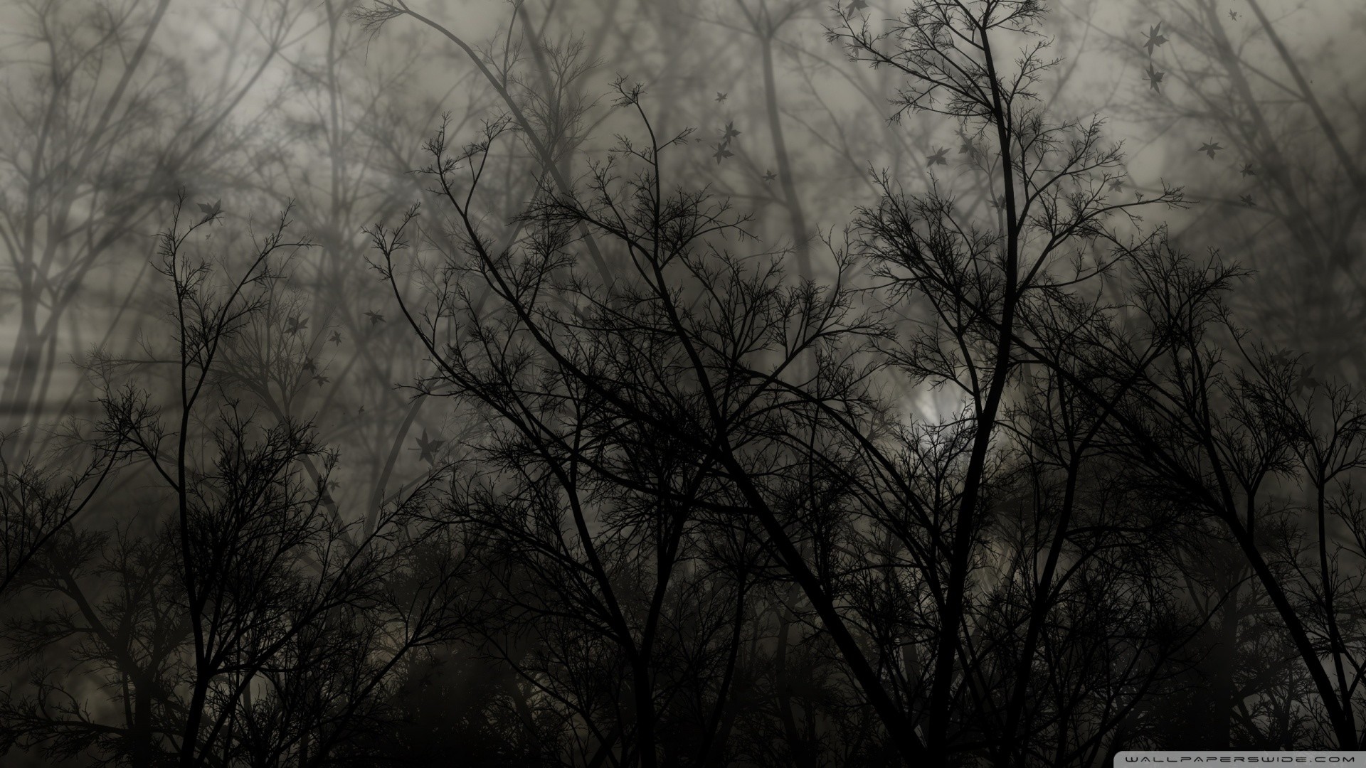 Dark Forest HD Wallpaper (61+ images)