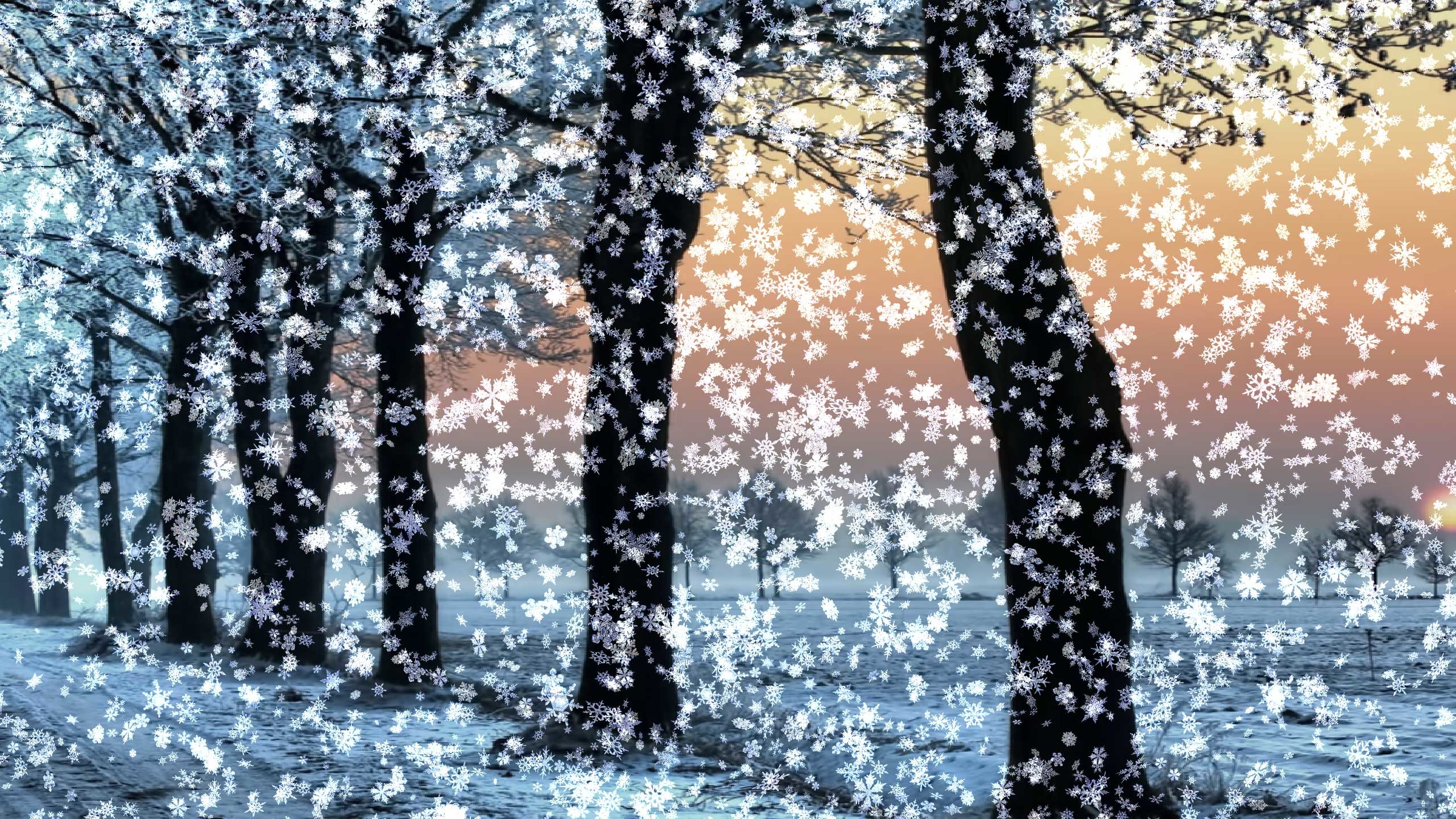 Windows 10 Snow Wallpaper (59+ images)
