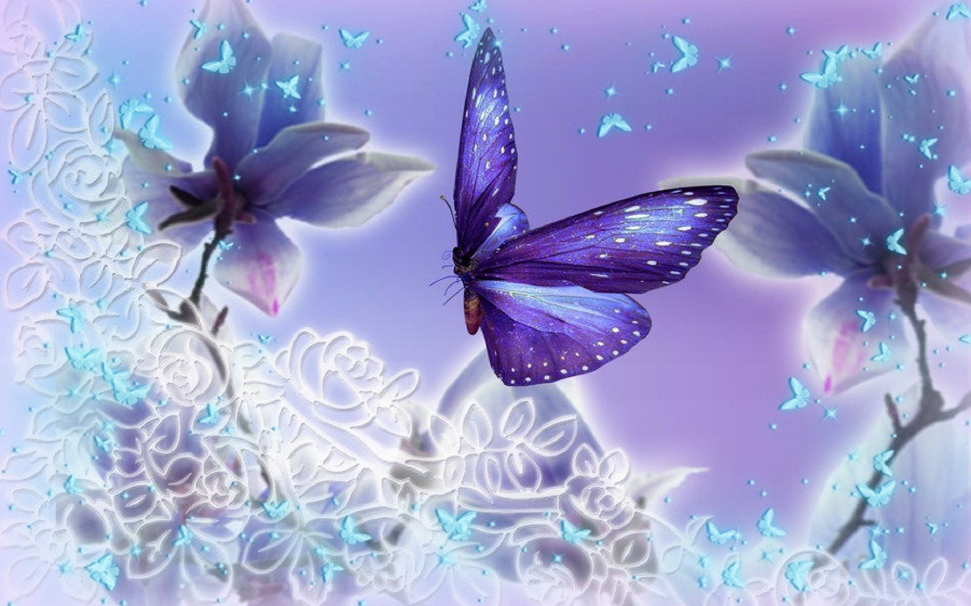 Butterfly Wallpaper For Computer (60+ images)