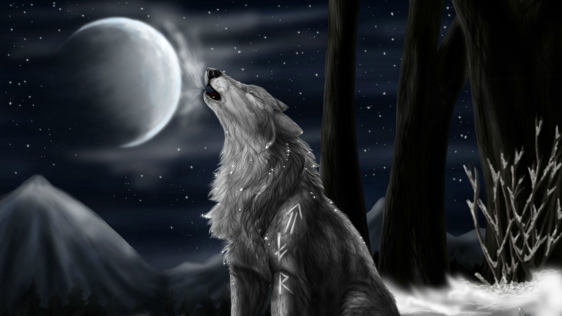 Animated Wolf Wallpaper (64+ images)